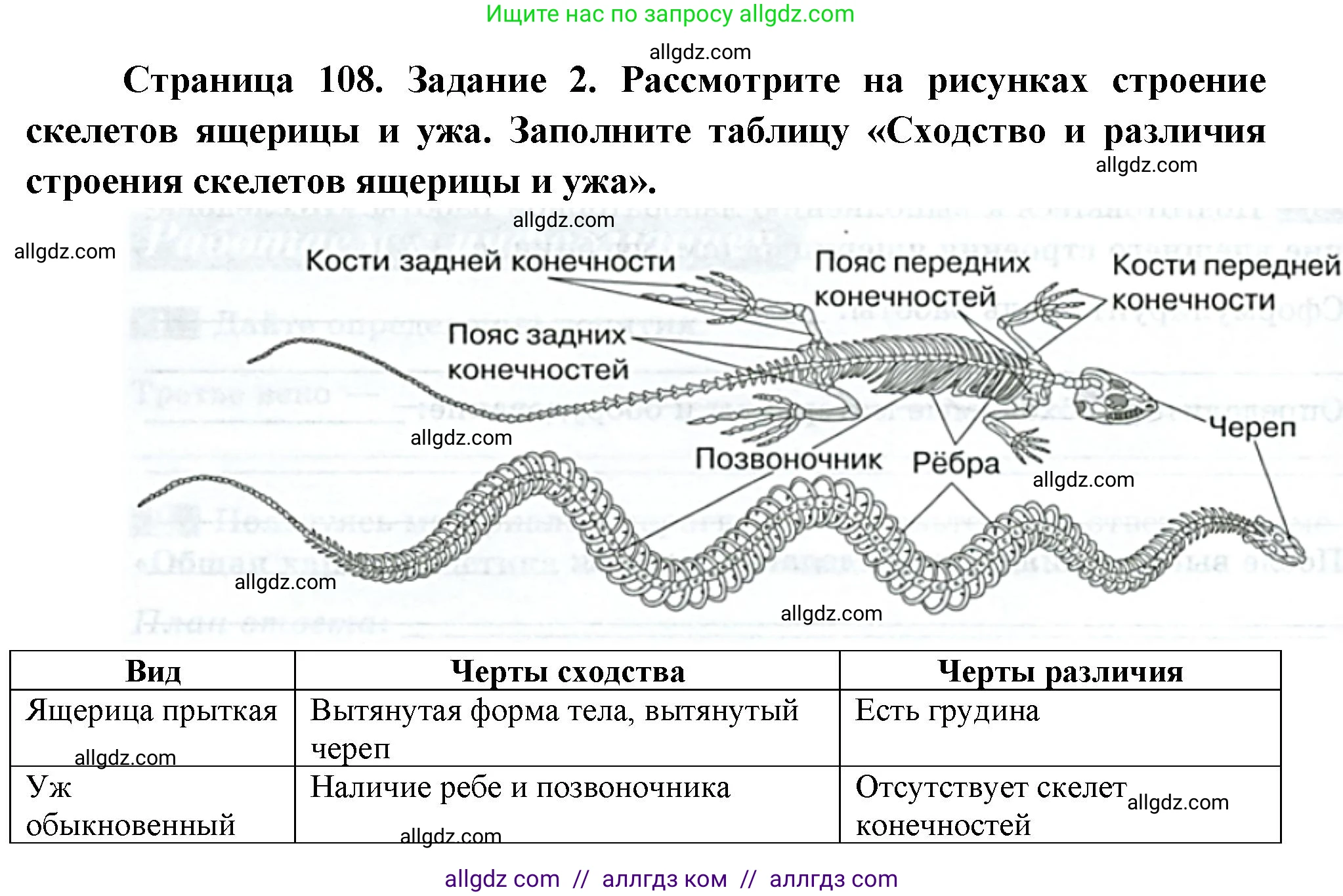 Биология, 8 класс рабочая тетрадь, авторы: Суматохин Сергей Витальевич, Пасечник Владимир Васильевич, Гапонюк Зоя Георгиевна, издательство Просвещение, Москва, 2023, оранжевого цвета, страница 108, номер 2, Решение