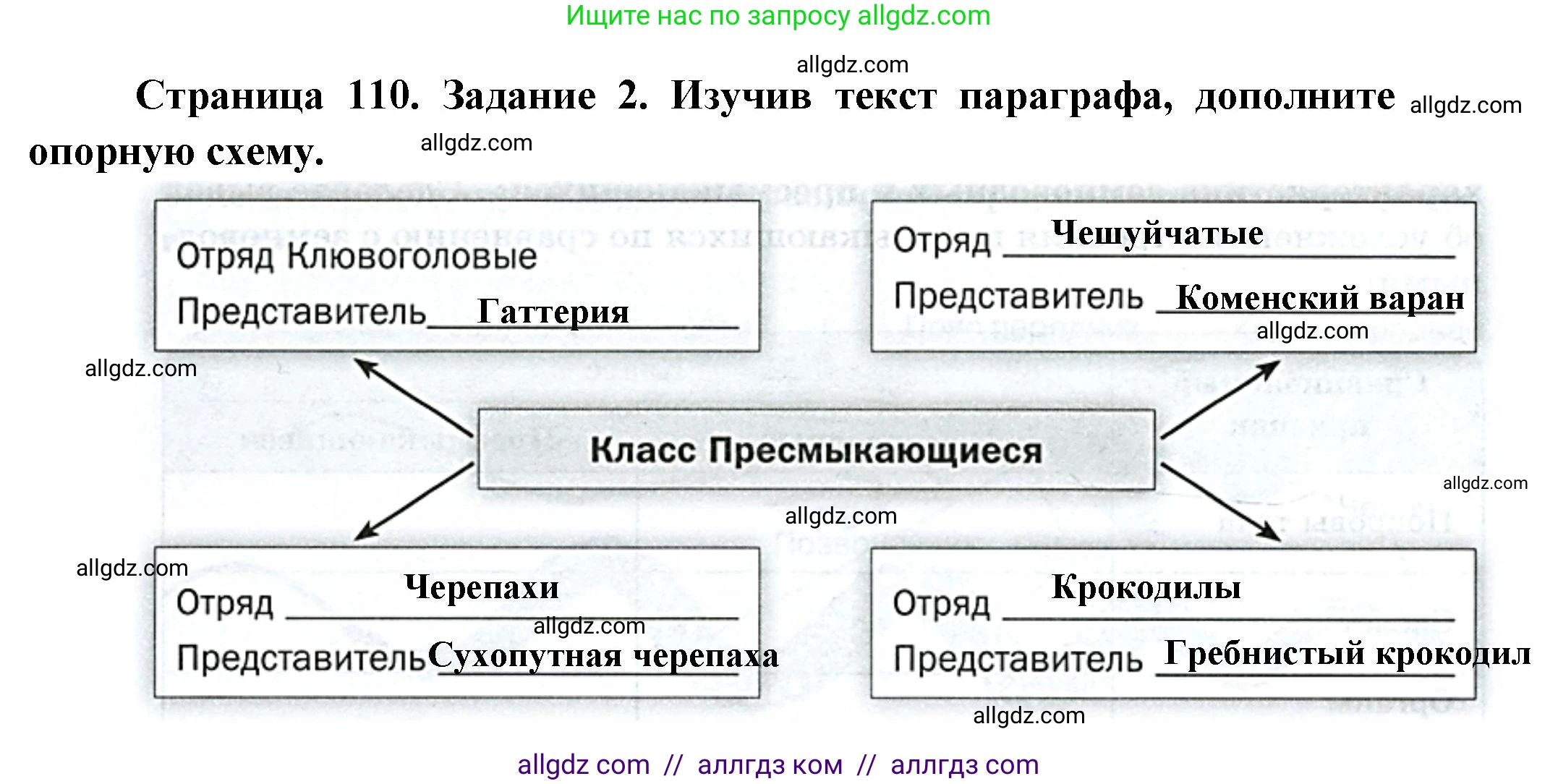 Биология, 8 класс рабочая тетрадь, авторы: Суматохин Сергей Витальевич, Пасечник Владимир Васильевич, Гапонюк Зоя Георгиевна, издательство Просвещение, Москва, 2023, оранжевого цвета, страница 110, номер 2, Решение