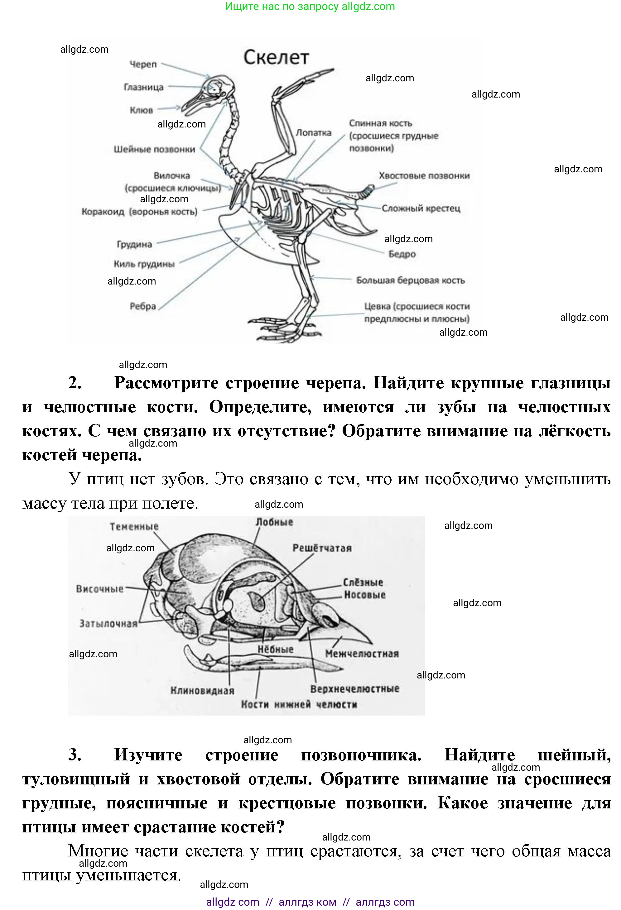 Биология, 8 класс рабочая тетрадь, авторы: Суматохин Сергей Витальевич, Пасечник Владимир Васильевич, Гапонюк Зоя Георгиевна, издательство Просвещение, Москва, 2023, оранжевого цвета, страница 116, номер 6, Решение (продолжение 2)