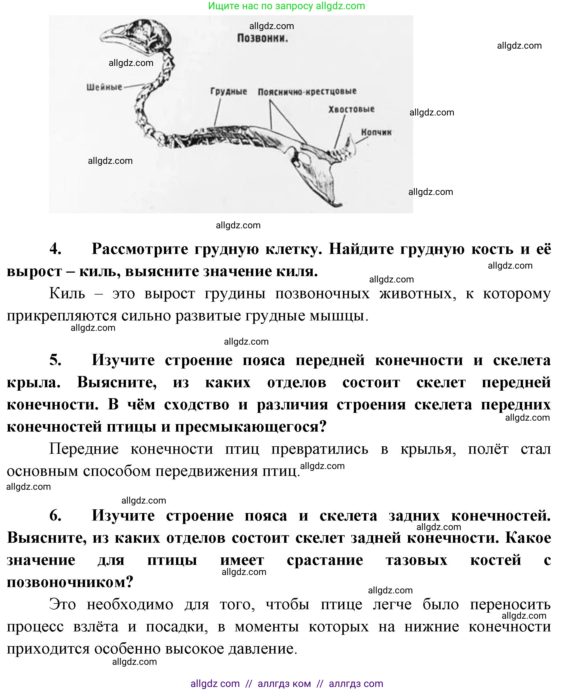 Биология, 8 класс рабочая тетрадь, авторы: Суматохин Сергей Витальевич, Пасечник Владимир Васильевич, Гапонюк Зоя Георгиевна, издательство Просвещение, Москва, 2023, оранжевого цвета, страница 116, номер 6, Решение (продолжение 3)