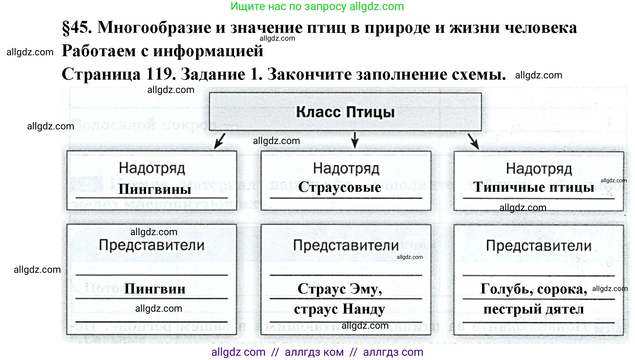 Биология, 8 класс рабочая тетрадь, авторы: Суматохин Сергей Витальевич, Пасечник Владимир Васильевич, Гапонюк Зоя Георгиевна, издательство Просвещение, Москва, 2023, оранжевого цвета, страница 119, номер 1, Решение