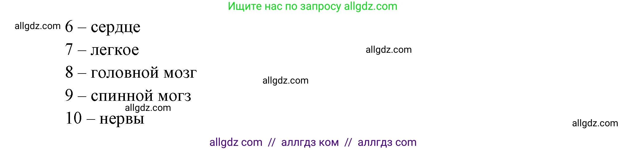 Биология, 8 класс рабочая тетрадь, авторы: Суматохин Сергей Витальевич, Пасечник Владимир Васильевич, Гапонюк Зоя Георгиевна, издательство Просвещение, Москва, 2023, оранжевого цвета, страница 123, номер 2, Решение (продолжение 2)