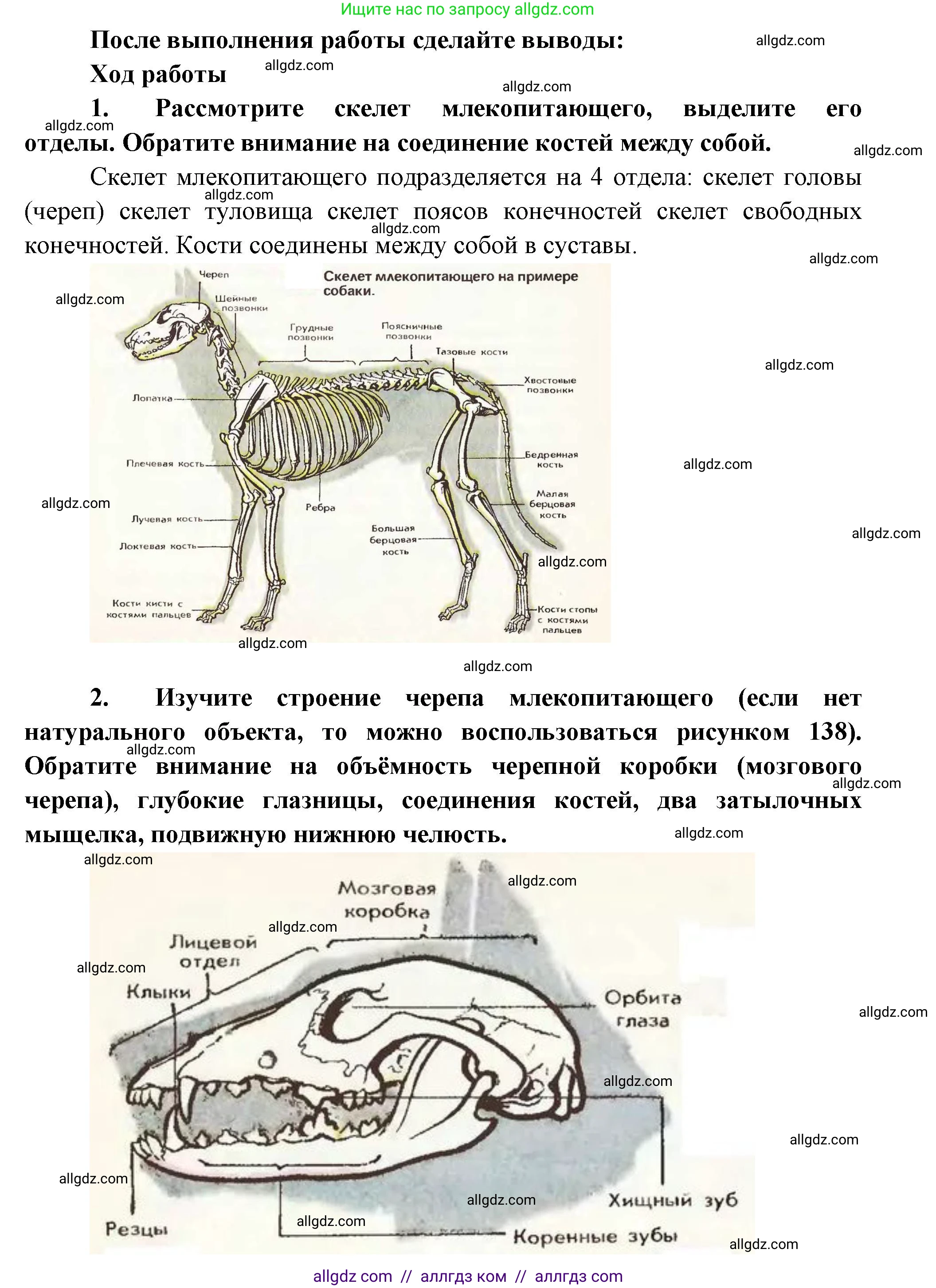 Биология, 8 класс рабочая тетрадь, авторы: Суматохин Сергей Витальевич, Пасечник Владимир Васильевич, Гапонюк Зоя Георгиевна, издательство Просвещение, Москва, 2023, оранжевого цвета, страница 124, номер 5, Решение (продолжение 2)