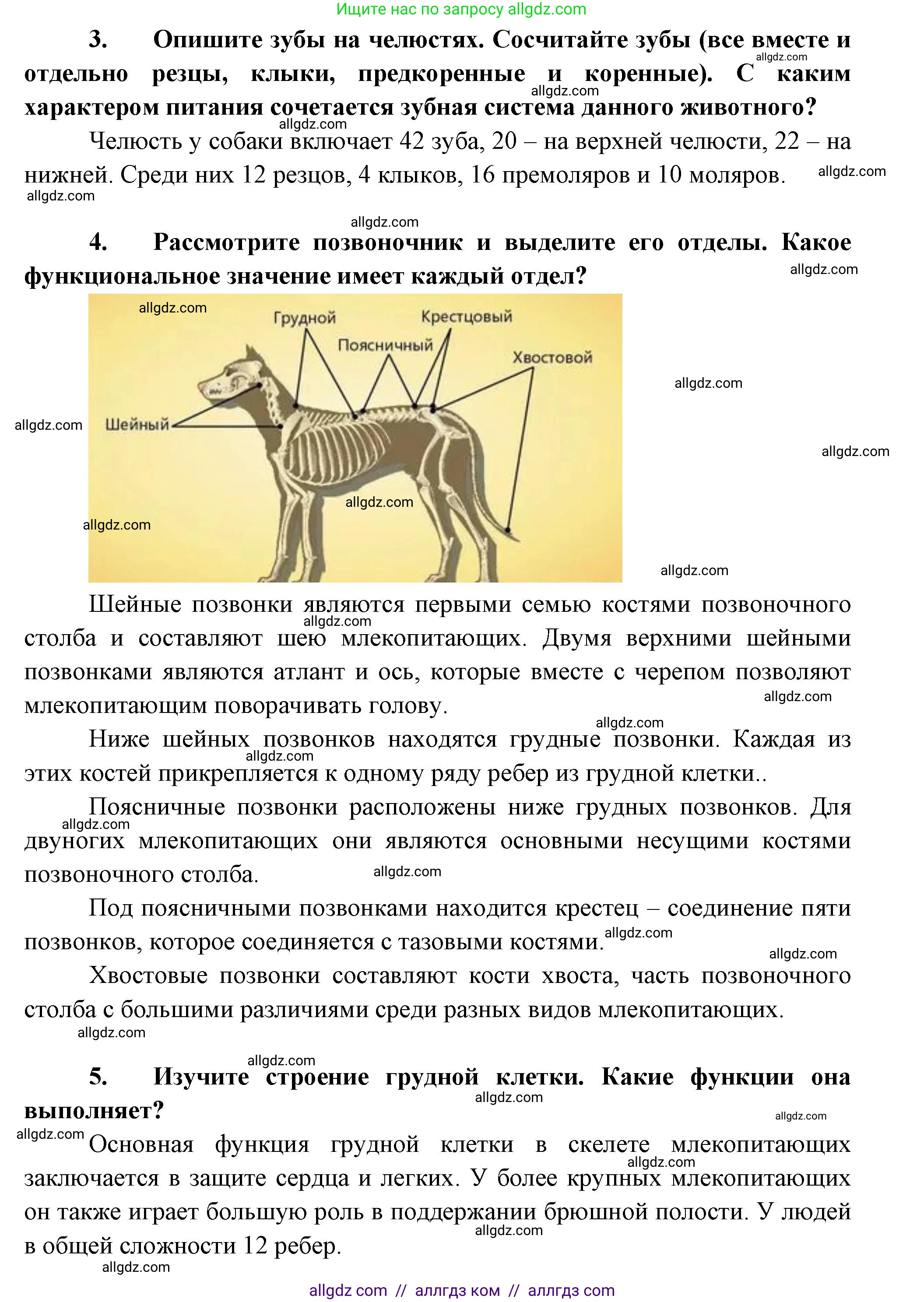 Биология, 8 класс рабочая тетрадь, авторы: Суматохин Сергей Витальевич, Пасечник Владимир Васильевич, Гапонюк Зоя Георгиевна, издательство Просвещение, Москва, 2023, оранжевого цвета, страница 124, номер 5, Решение (продолжение 3)
