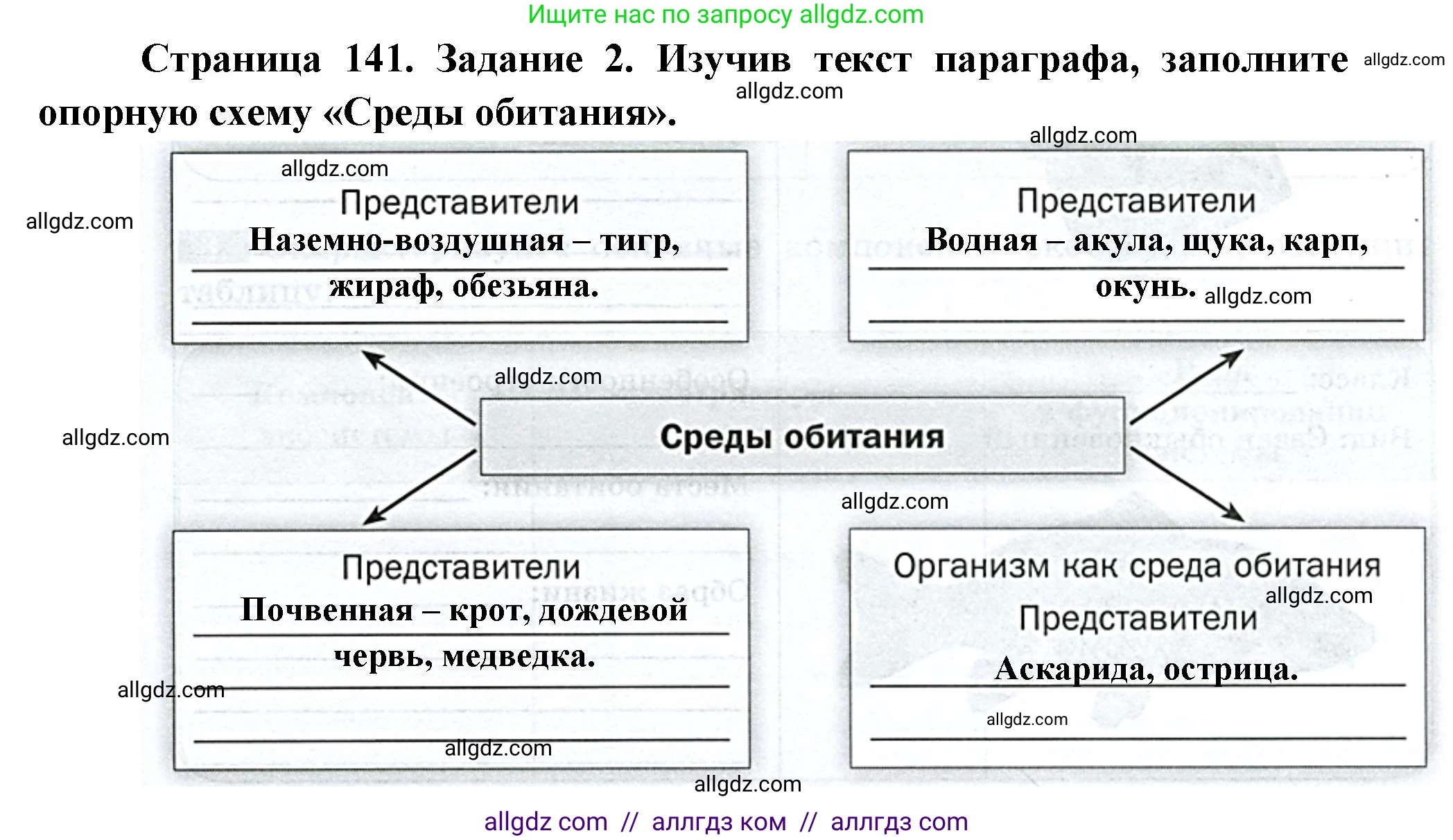 Биология, 8 класс рабочая тетрадь, авторы: Суматохин Сергей Витальевич, Пасечник Владимир Васильевич, Гапонюк Зоя Георгиевна, издательство Просвещение, Москва, 2023, оранжевого цвета, страница 141, номер 2, Решение