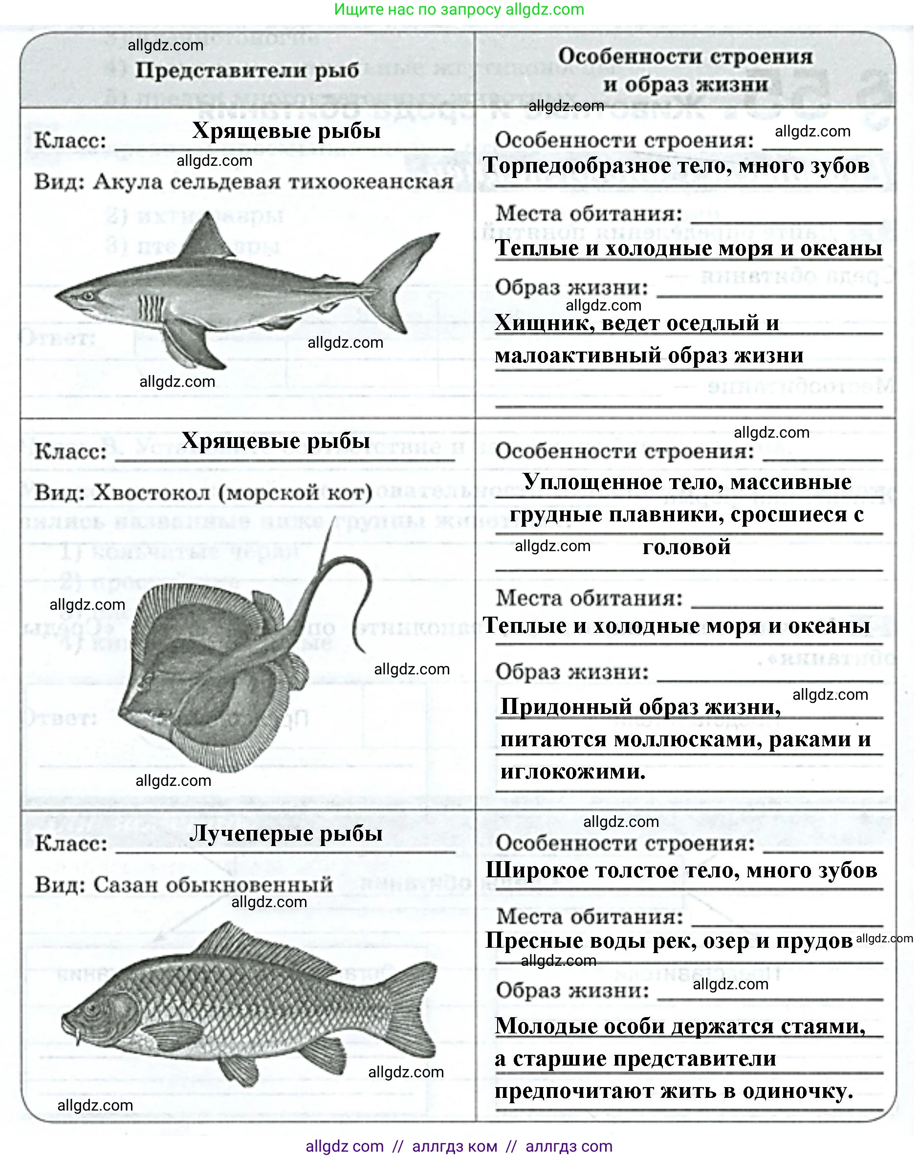 Биология, 8 класс рабочая тетрадь, авторы: Суматохин Сергей Витальевич, Пасечник Владимир Васильевич, Гапонюк Зоя Георгиевна, издательство Просвещение, Москва, 2023, оранжевого цвета, страница 142, номер 3, Решение (продолжение 2)