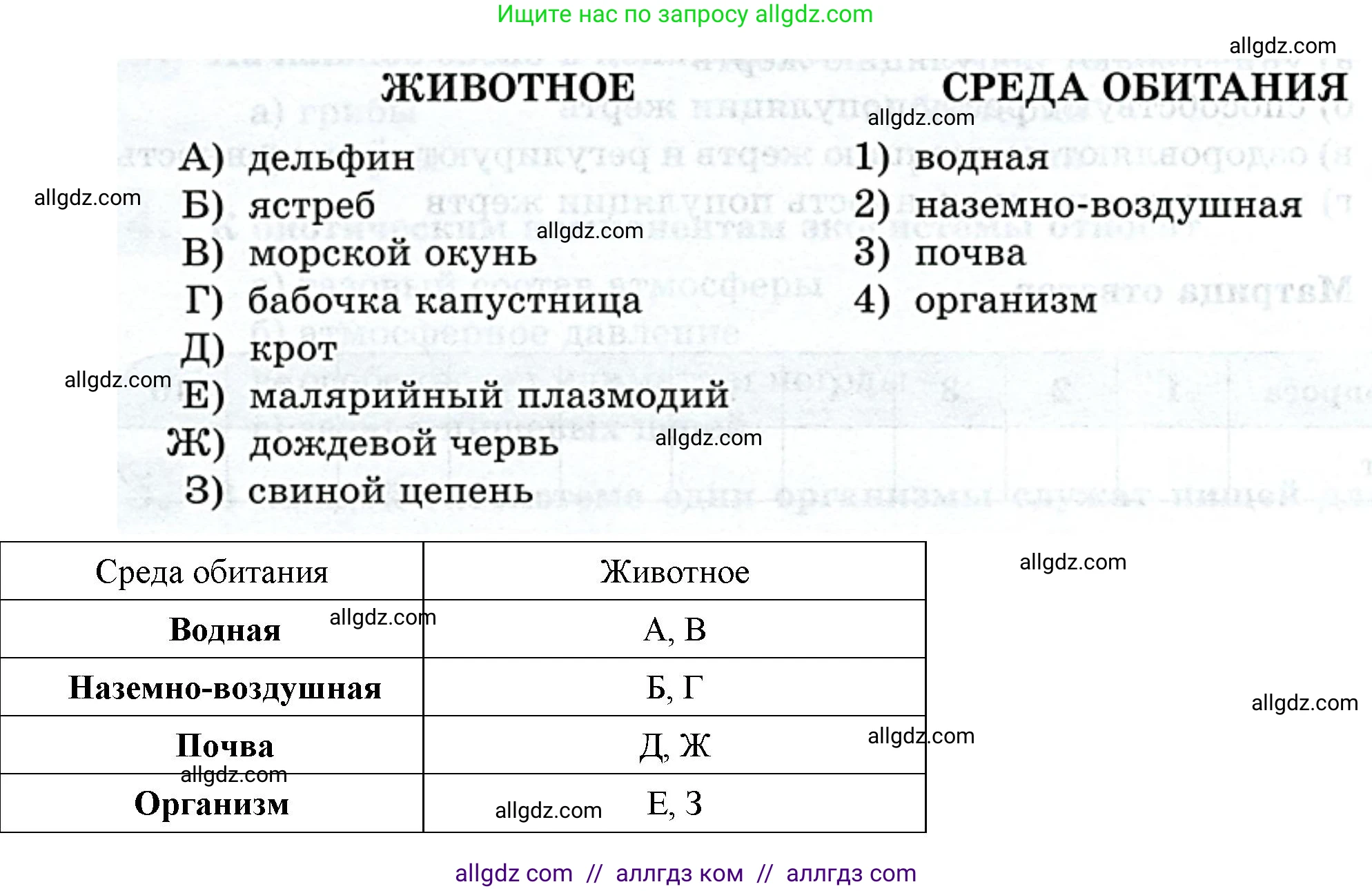 Биология, 8 класс рабочая тетрадь, авторы: Суматохин Сергей Витальевич, Пасечник Владимир Васильевич, Гапонюк Зоя Георгиевна, издательство Просвещение, Москва, 2023, оранжевого цвета, страница 148, номер 1, Решение (продолжение 2)