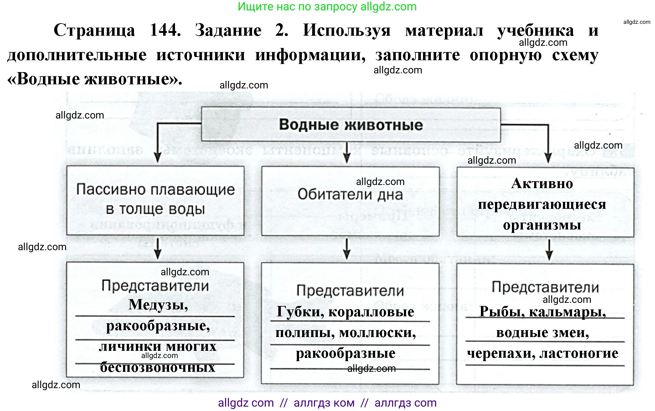 Биология, 8 класс рабочая тетрадь, авторы: Суматохин Сергей Витальевич, Пасечник Владимир Васильевич, Гапонюк Зоя Георгиевна, издательство Просвещение, Москва, 2023, оранжевого цвета, страница 144, номер 2, Решение