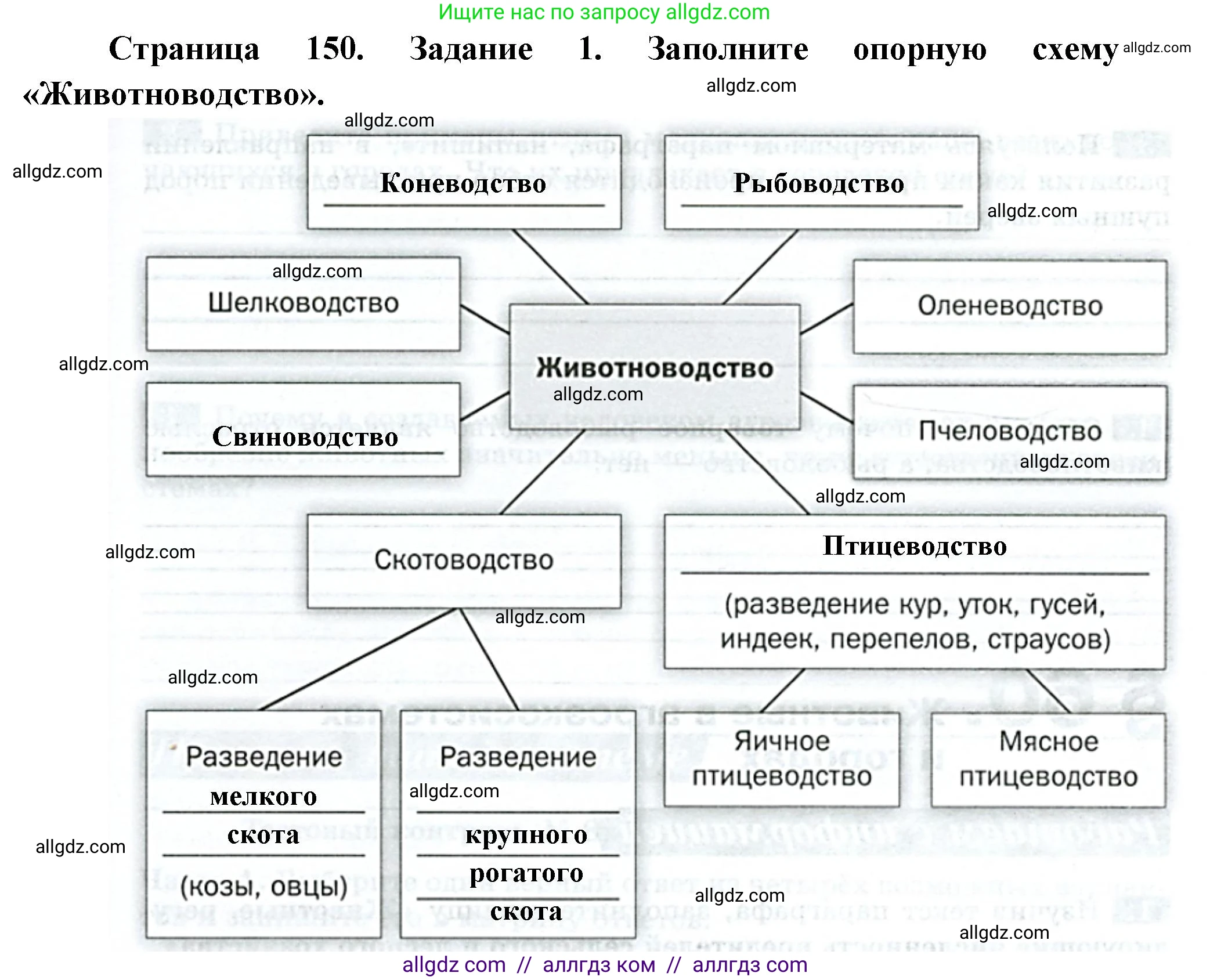 Биология, 8 класс рабочая тетрадь, авторы: Суматохин Сергей Витальевич, Пасечник Владимир Васильевич, Гапонюк Зоя Георгиевна, издательство Просвещение, Москва, 2023, оранжевого цвета, страница 150, номер 1, Решение