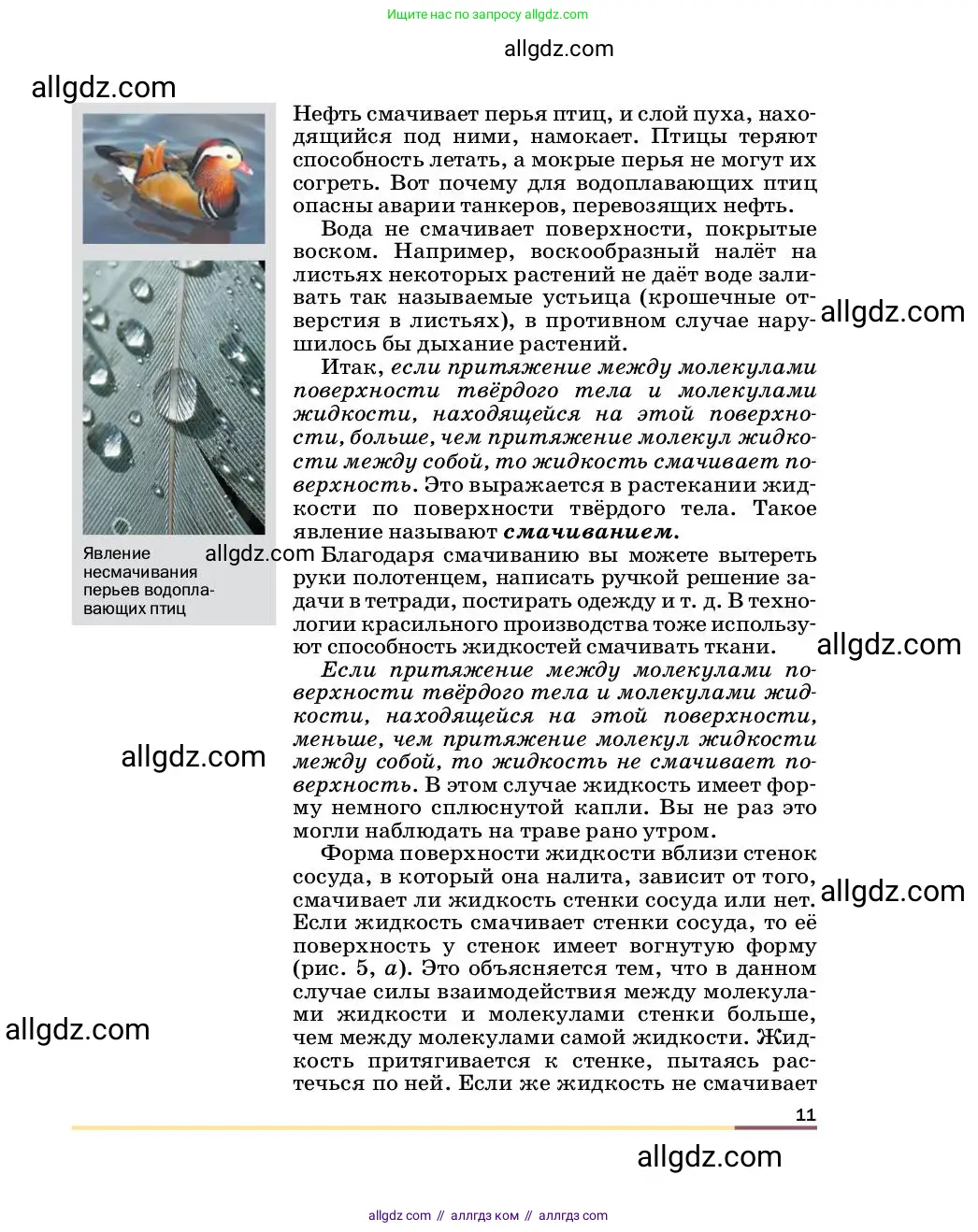 Физика, 8 класс Учебник, автор: Пёрышкин И М, издательство Просвещение, Москва, 2023, белого цвета, страница 11