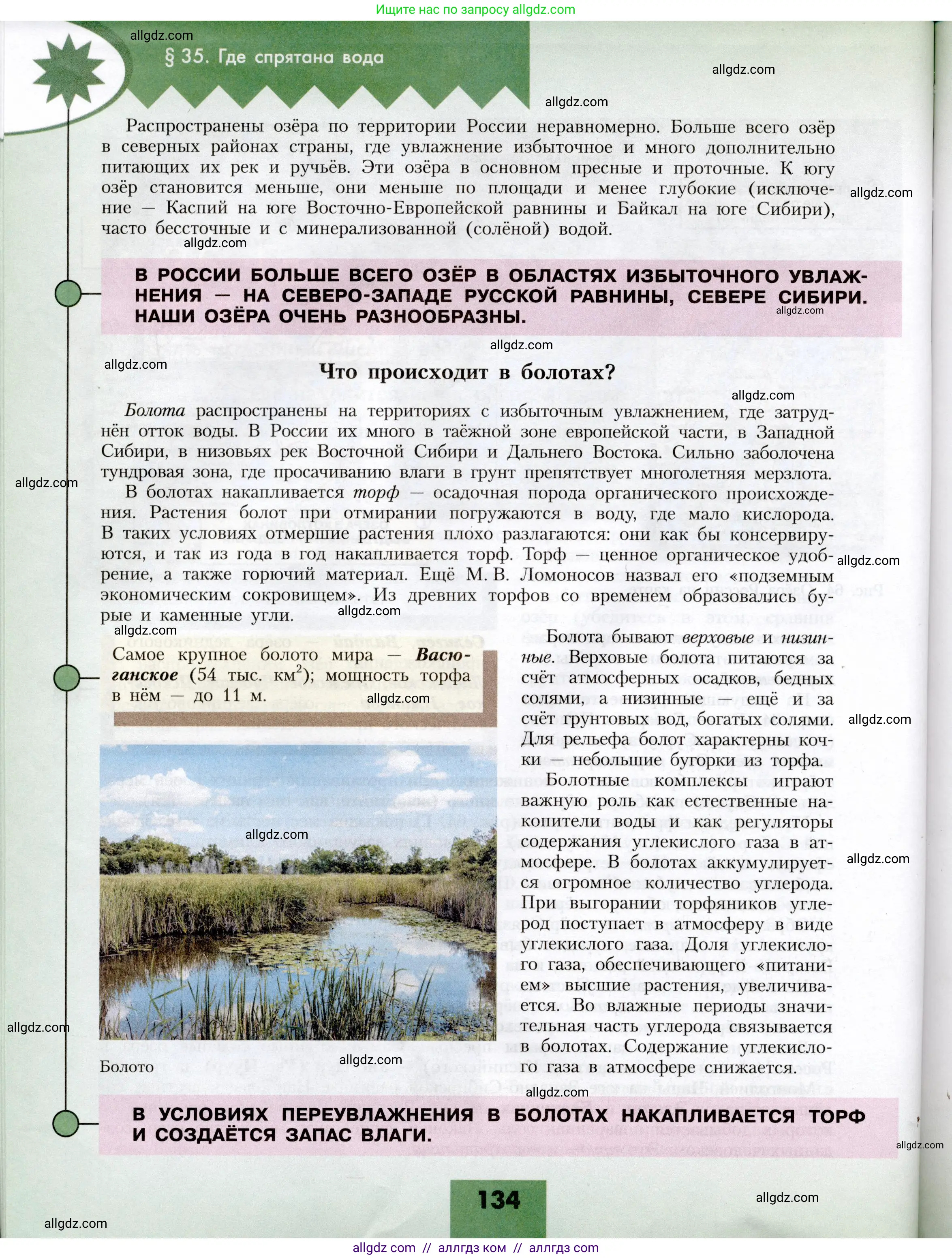 География, 8 класс Учебник, авторы: Алексеев Александр Иванович, Николина Вера Викторовна, Липкина Елена Карловна, Болысов Сергей Иванович, Кузнецова Галина Юрьевна, издательство Просвещение, Москва, 2023, жёлтого цвета, страница 134