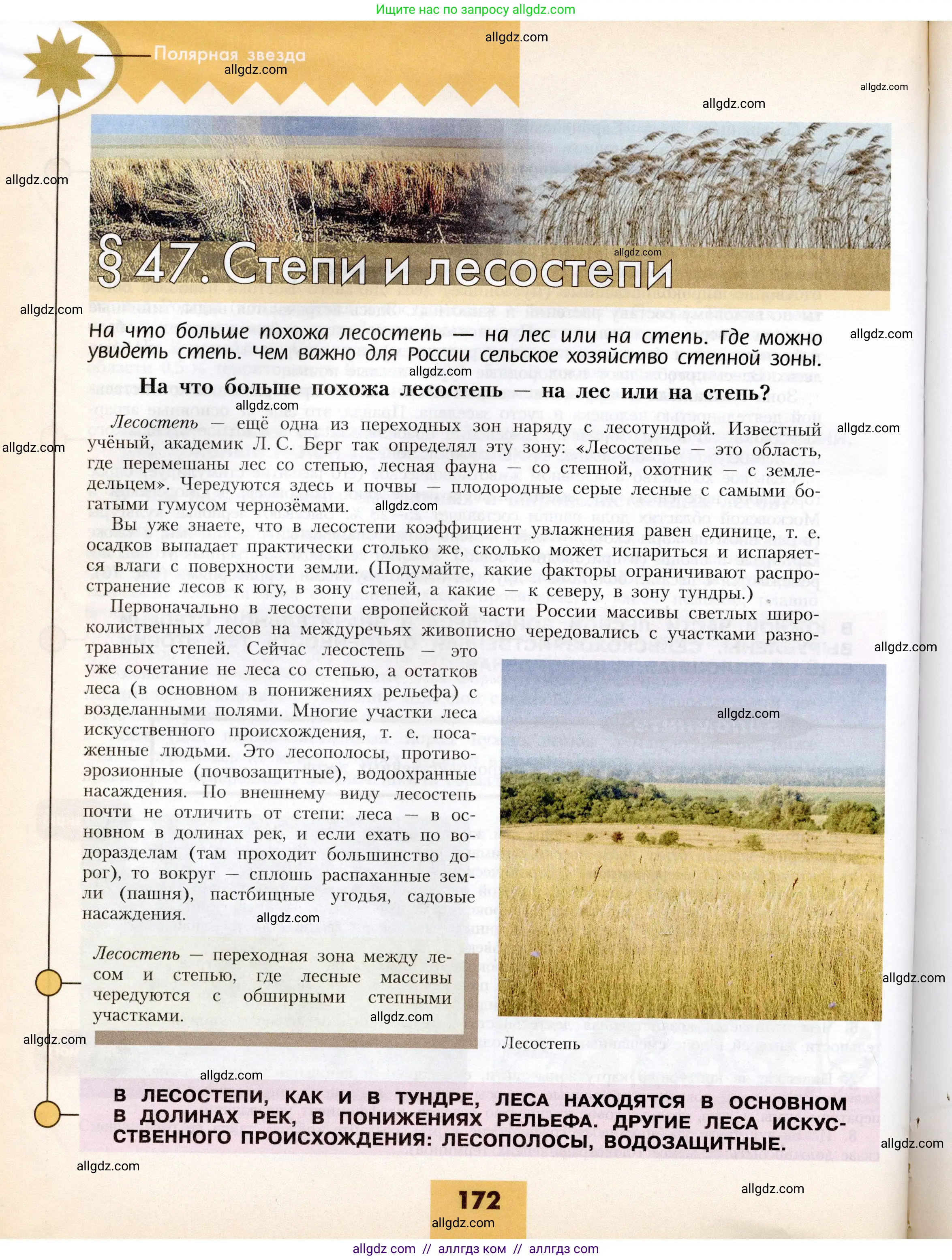 География, 8 класс Учебник, авторы: Алексеев Александр Иванович, Николина Вера Викторовна, Липкина Елена Карловна, Болысов Сергей Иванович, Кузнецова Галина Юрьевна, издательство Просвещение, Москва, 2023, жёлтого цвета, страница 172