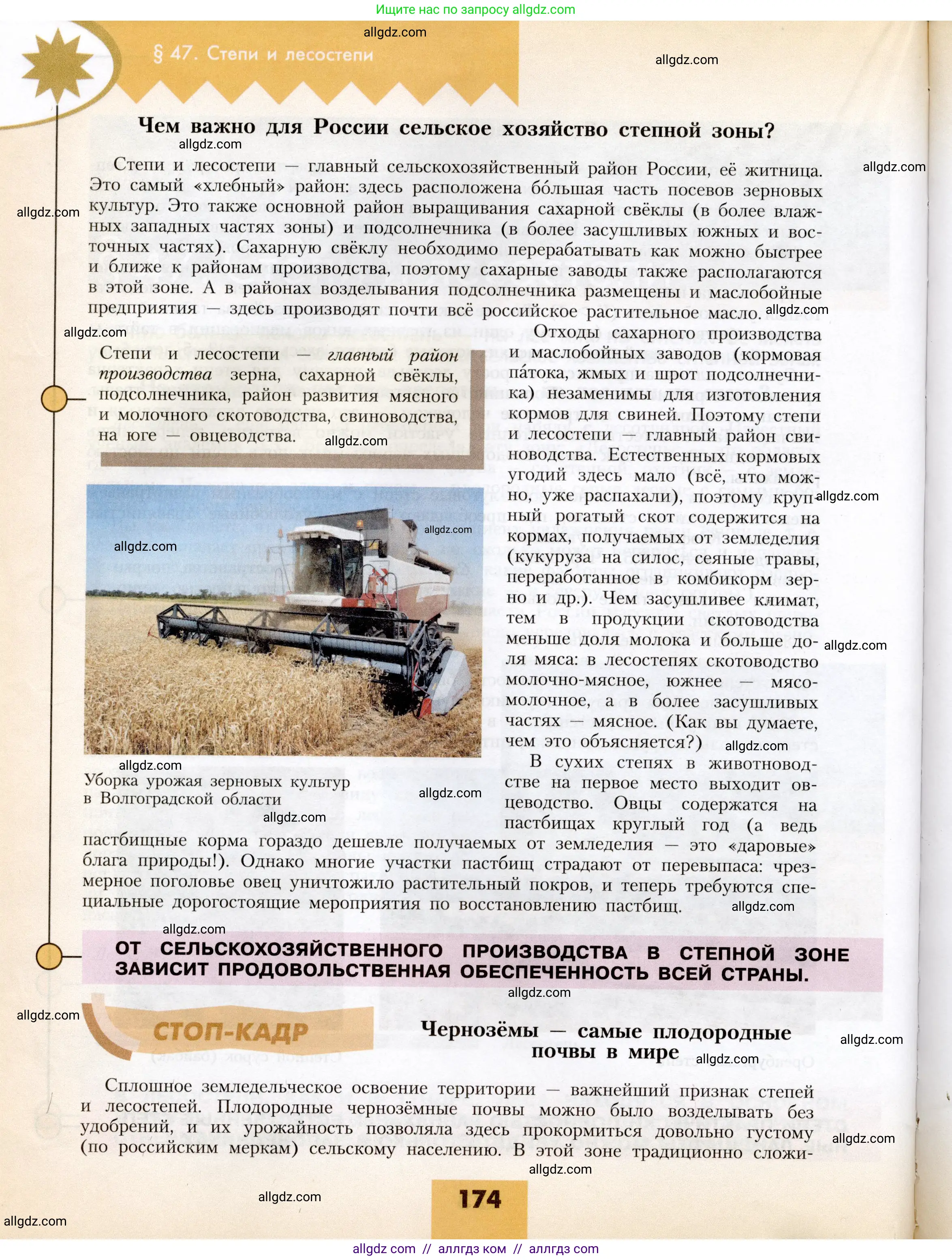 География, 8 класс Учебник, авторы: Алексеев Александр Иванович, Николина Вера Викторовна, Липкина Елена Карловна, Болысов Сергей Иванович, Кузнецова Галина Юрьевна, издательство Просвещение, Москва, 2023, жёлтого цвета, страница 174