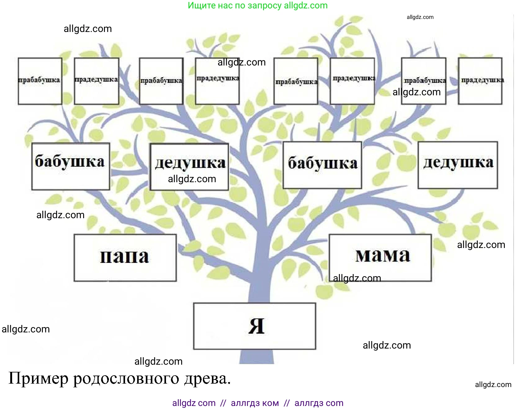 География, 8 класс Учебник, авторы: Алексеев Александр Иванович, Николина Вера Викторовна, Липкина Елена Карловна, Болысов Сергей Иванович, Кузнецова Галина Юрьевна, издательство Просвещение, Москва, 2023, жёлтого цвета, страница 76, Решение (продолжение 2)