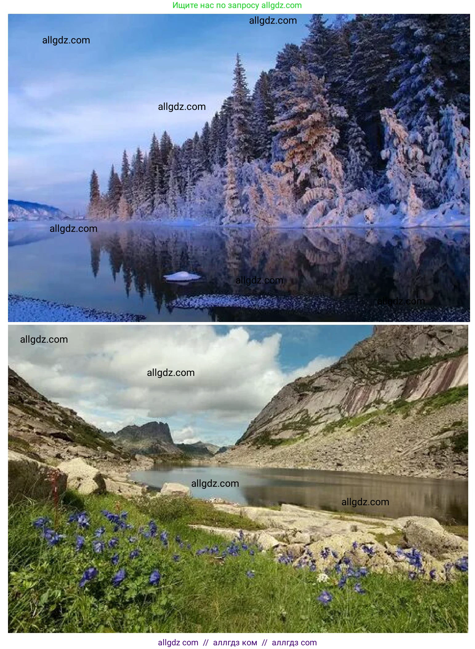 География, 8 класс Учебник, авторы: Алексеев Александр Иванович, Николина Вера Викторовна, Липкина Елена Карловна, Болысов Сергей Иванович, Кузнецова Галина Юрьевна, издательство Просвещение, Москва, 2023, жёлтого цвета, страница 205, номер 8, Решение (продолжение 2)