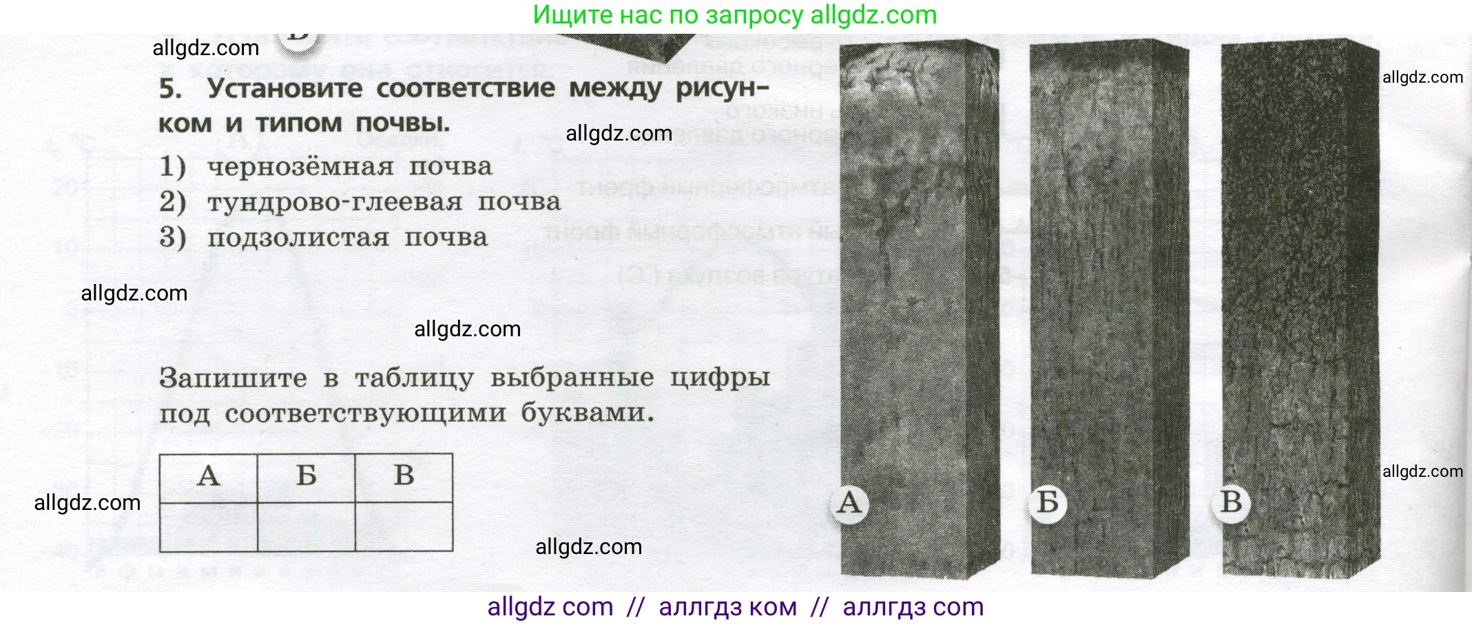 География, 8 класс Проверочные работы, авторы: Бондарева Мария Владимировна, Шидловский Игорь Михайлович, издательство Просвещение, Москва, 2023, жёлтого цвета, страница 18, номер 5, Условие