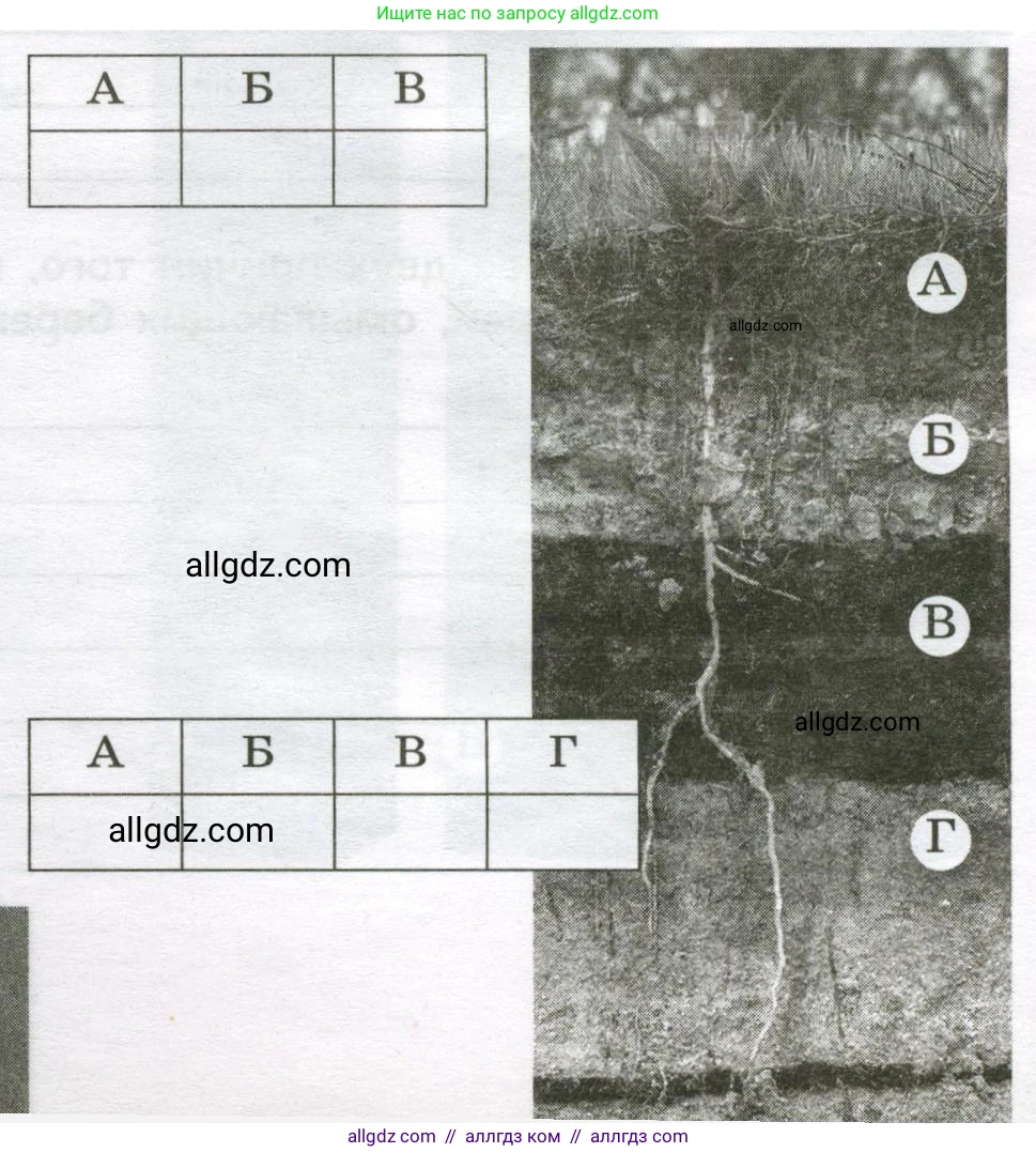 География, 8 класс Проверочные работы, авторы: Бондарева Мария Владимировна, Шидловский Игорь Михайлович, издательство Просвещение, Москва, 2023, жёлтого цвета, страница 20, номер 5, Условие (продолжение 2)