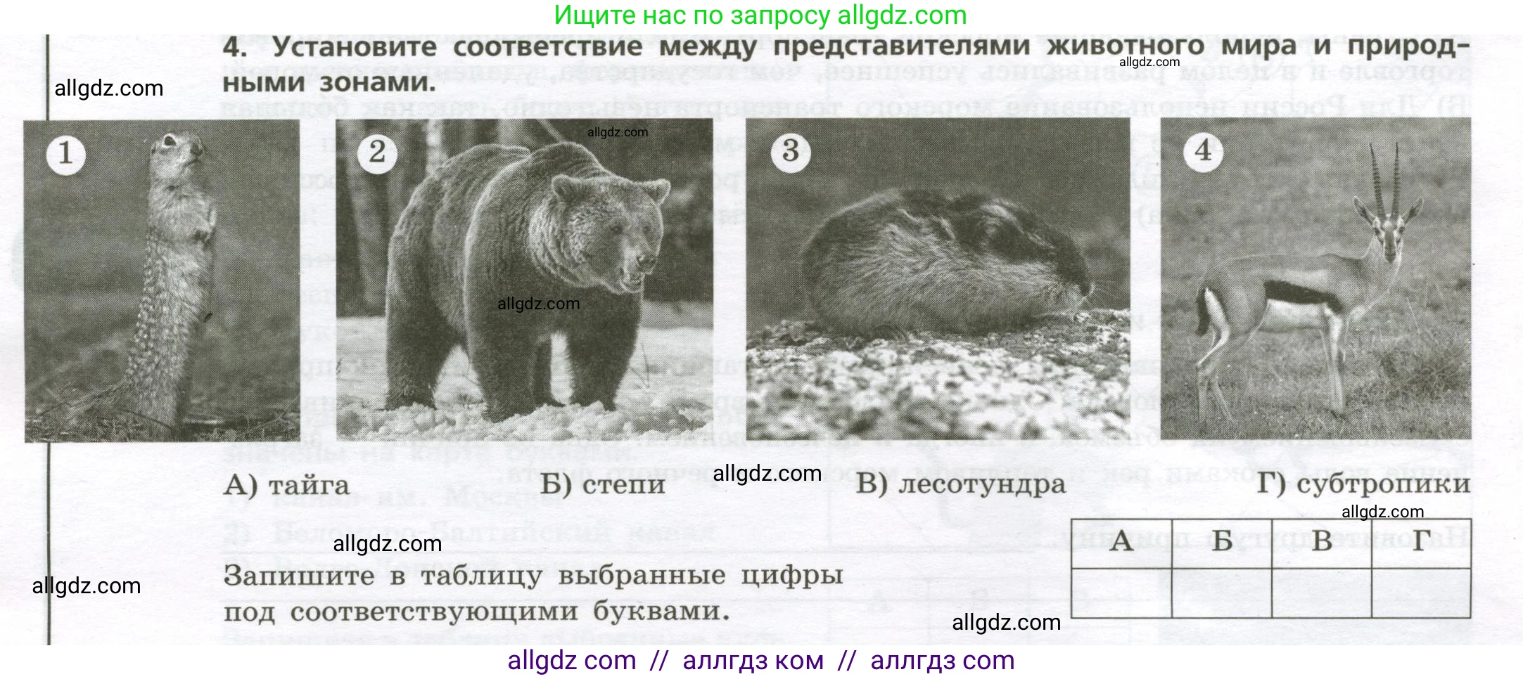 География, 8 класс Проверочные работы, авторы: Бондарева Мария Владимировна, Шидловский Игорь Михайлович, издательство Просвещение, Москва, 2023, жёлтого цвета, страница 22, номер 4, Условие