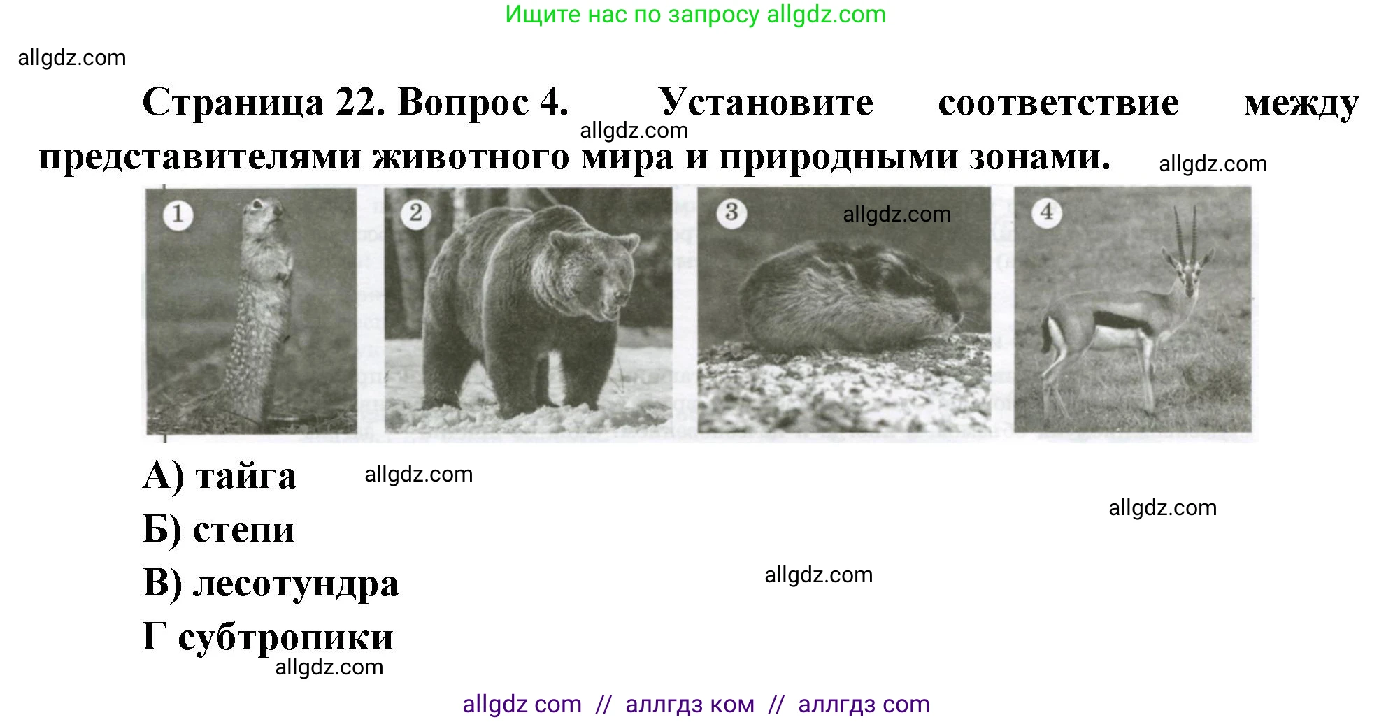 География, 8 класс Проверочные работы, авторы: Бондарева Мария Владимировна, Шидловский Игорь Михайлович, издательство Просвещение, Москва, 2023, жёлтого цвета, страница 22, номер 4, Решение