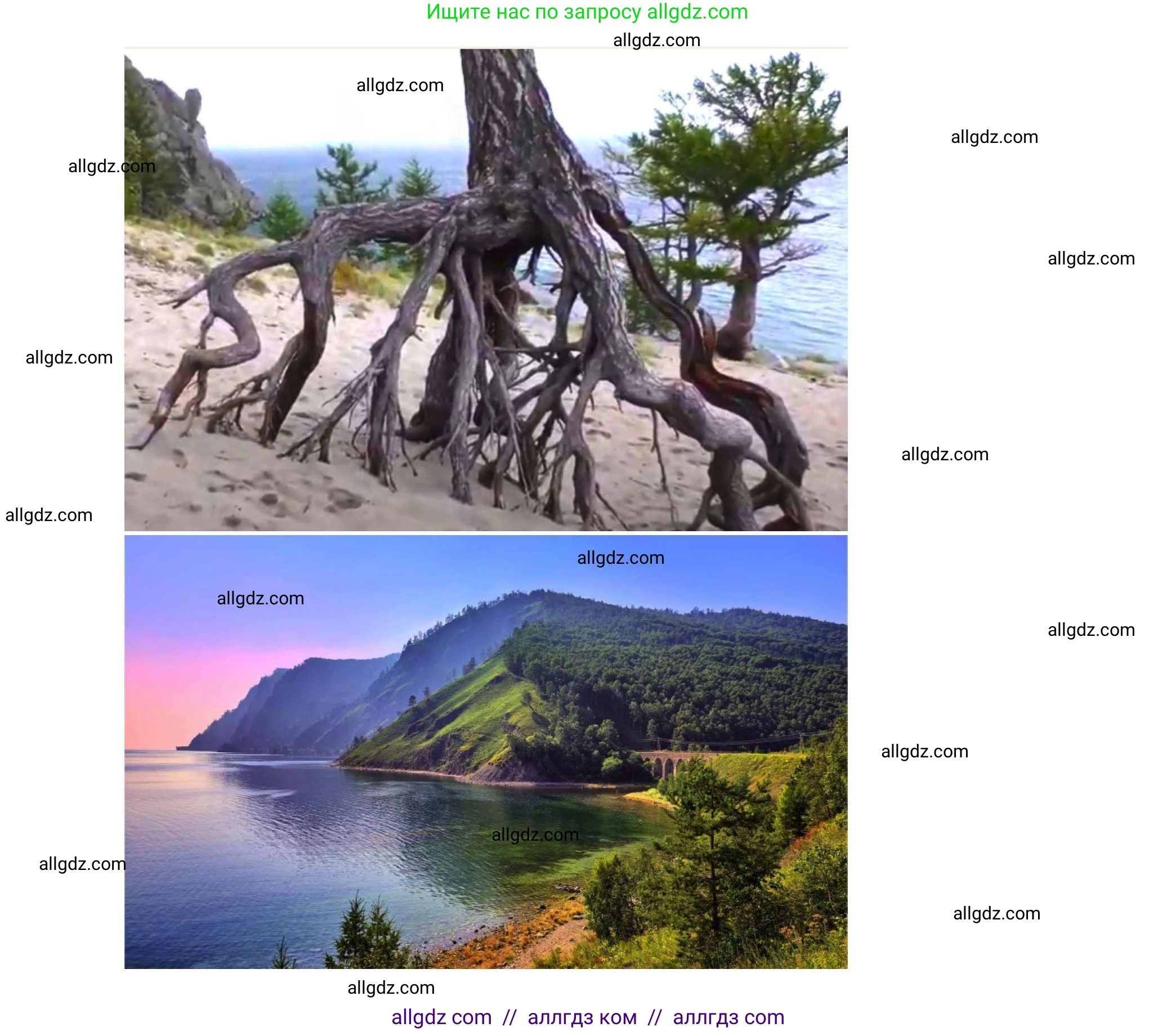 География, 8 класс Практические работы, автор: Дубинина Софья Петровна, издательство Просвещение, Москва, 2023, жёлтого цвета, страница 38, номер 3, Решение (продолжение 3)