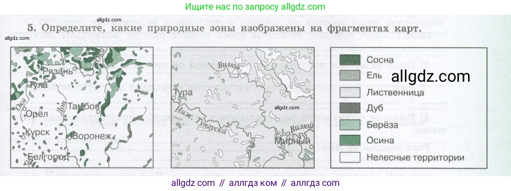 География, 8 класс Мой тренажёр, автор: Николина Вера Викторовна, издательство Просвещение, Москва, 2023, жёлтого цвета, страница 61, номер 5, Условие