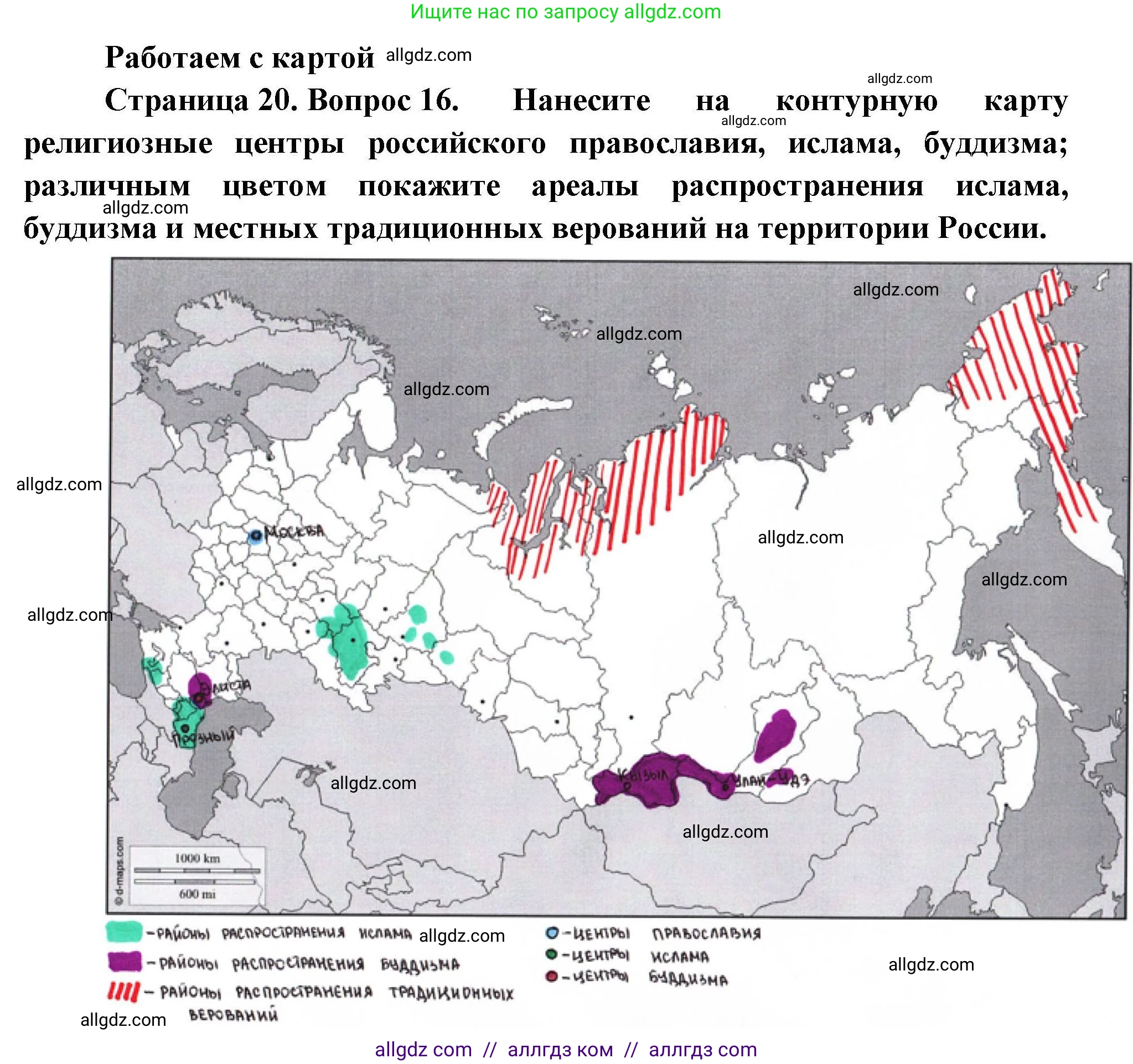 География, 8 класс Мой тренажёр, автор: Николина Вера Викторовна, издательство Просвещение, Москва, 2023, жёлтого цвета, страница 20, номер 16, Решение