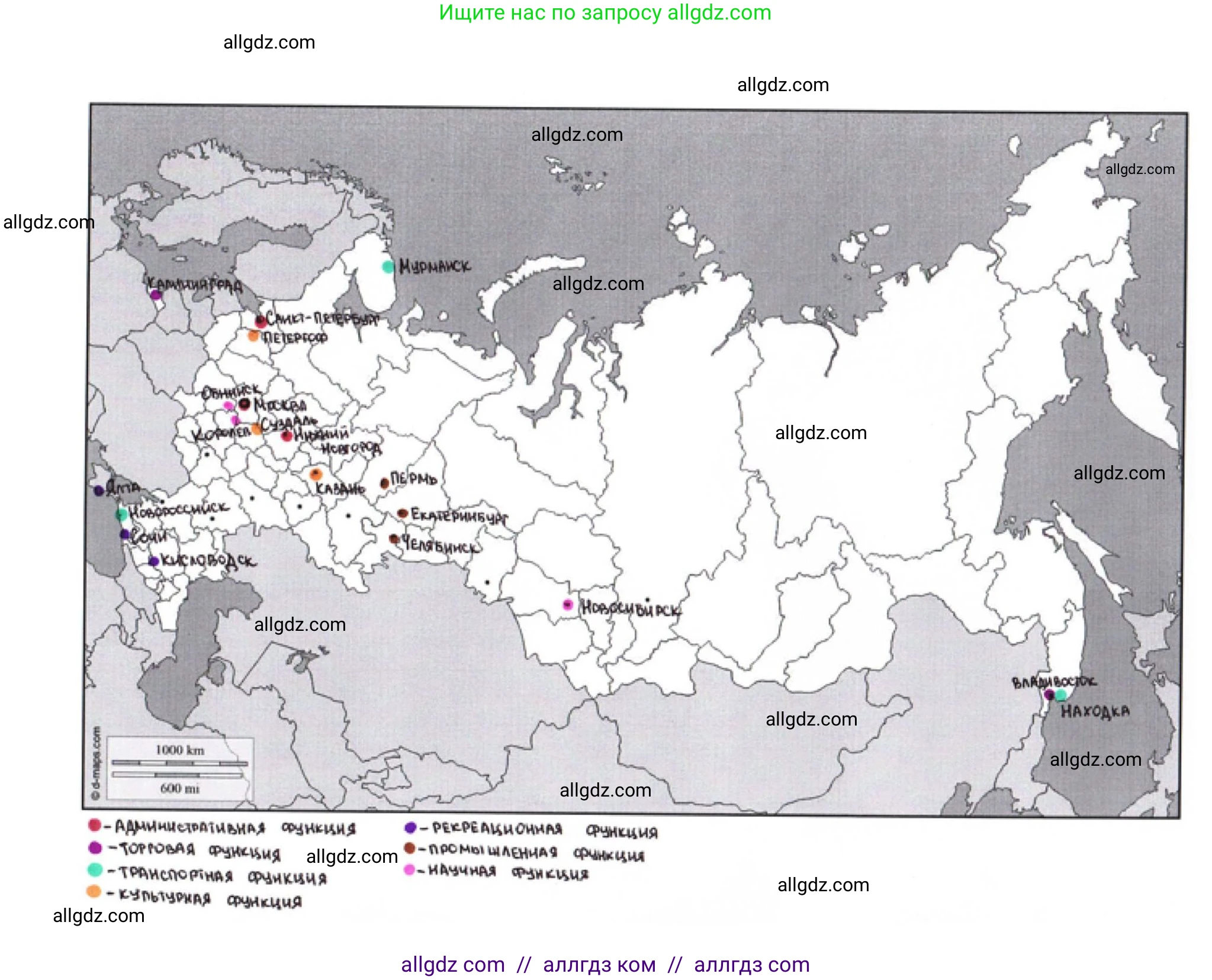 География, 8 класс Мой тренажёр, автор: Николина Вера Викторовна, издательство Просвещение, Москва, 2023, жёлтого цвета, страница 20, номер 18, Решение