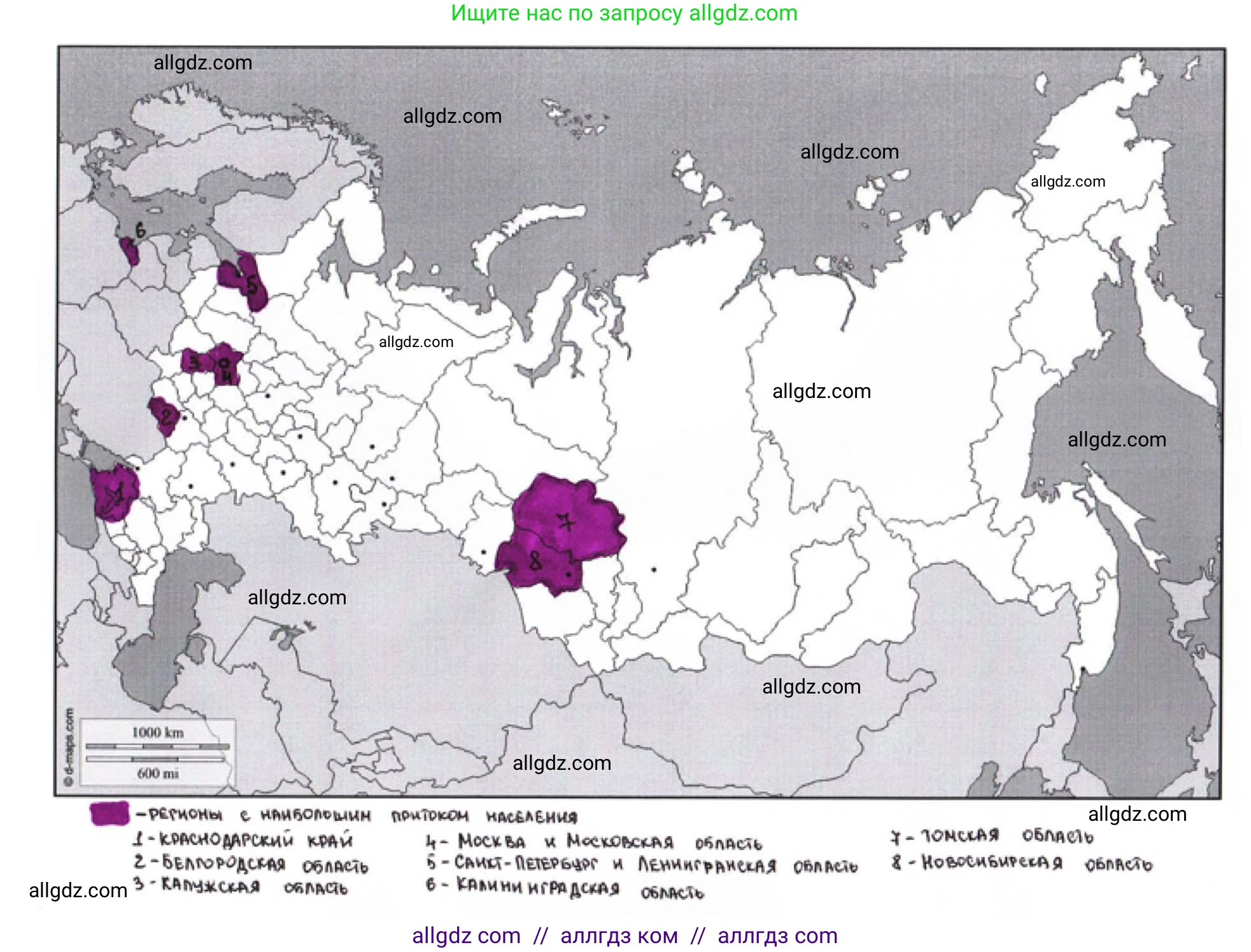 География, 8 класс Мой тренажёр, автор: Николина Вера Викторовна, издательство Просвещение, Москва, 2023, жёлтого цвета, страница 20, номер 19, Решение