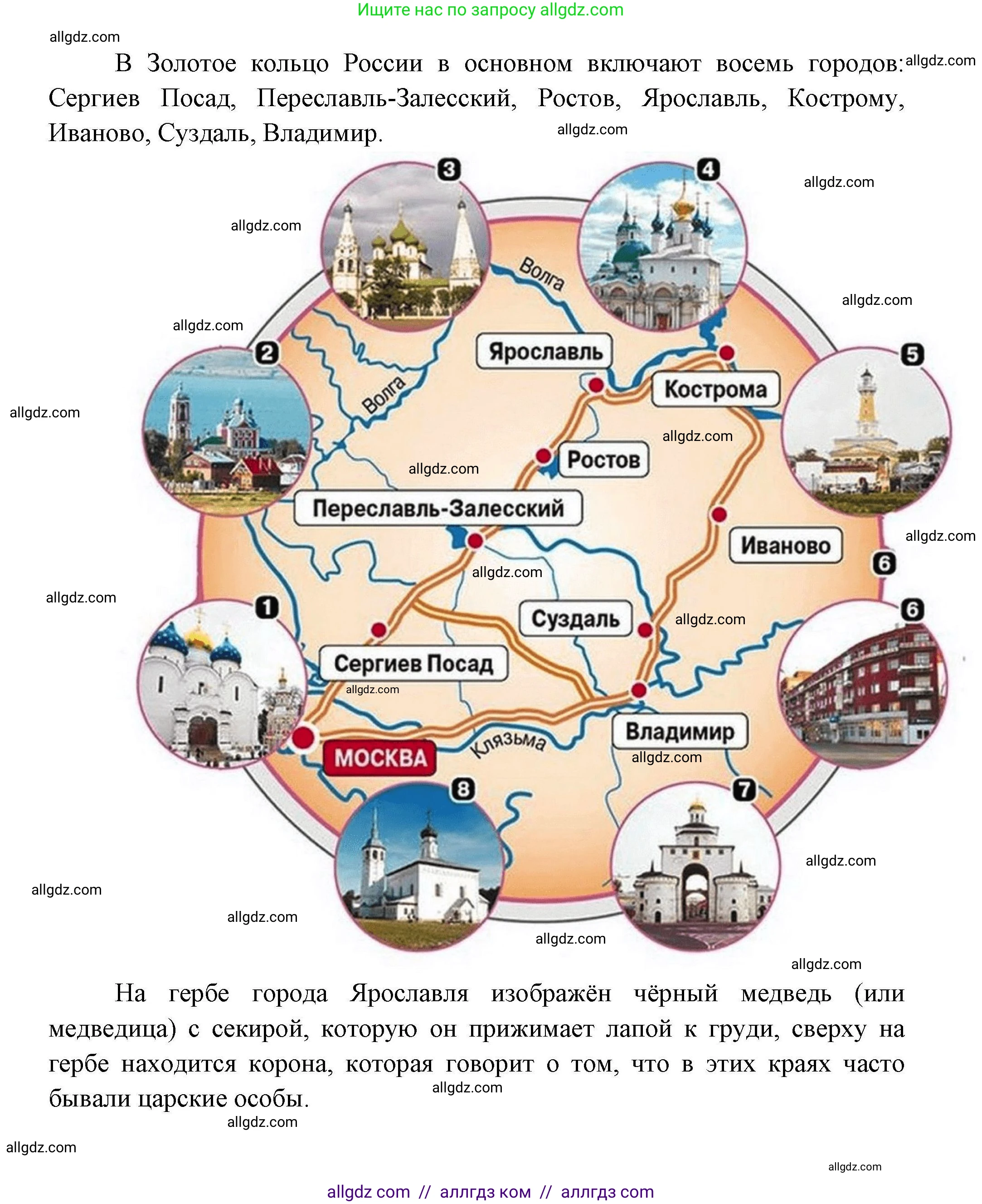 География, 8 класс Мой тренажёр, автор: Николина Вера Викторовна, издательство Просвещение, Москва, 2023, жёлтого цвета, страница 24, номер 29, Решение