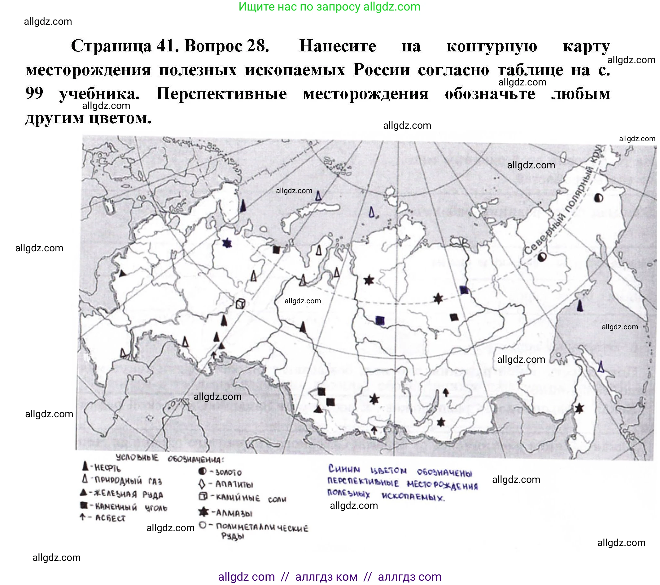География, 8 класс Мой тренажёр, автор: Николина Вера Викторовна, издательство Просвещение, Москва, 2023, жёлтого цвета, страница 41, номер 28, Решение