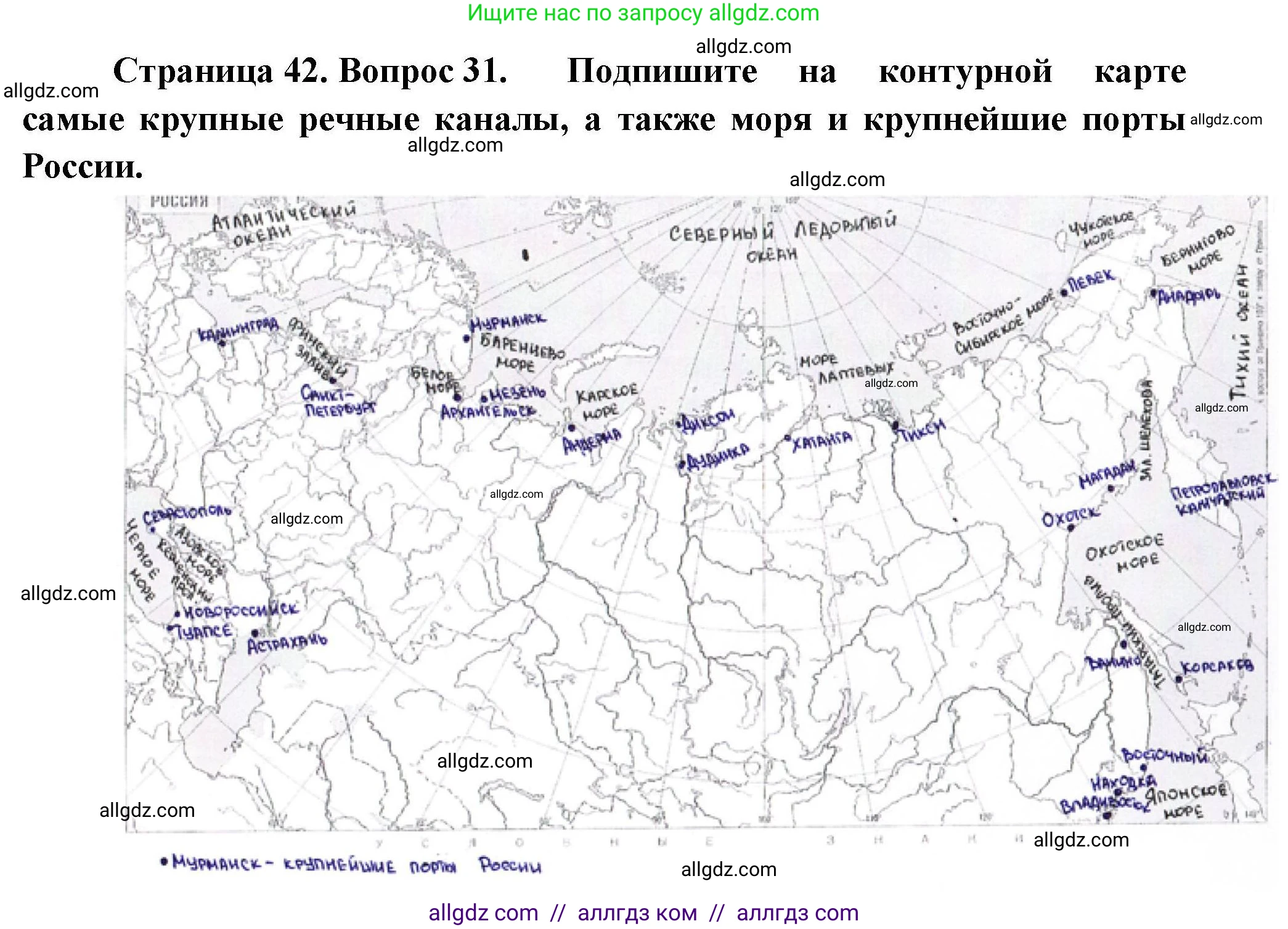 География, 8 класс Мой тренажёр, автор: Николина Вера Викторовна, издательство Просвещение, Москва, 2023, жёлтого цвета, страница 42, номер 31, Решение