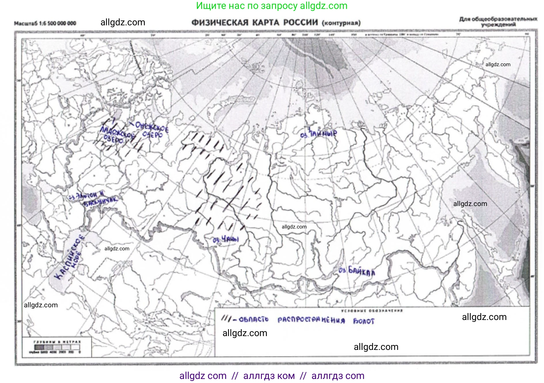 География, 8 класс Мой тренажёр, автор: Николина Вера Викторовна, издательство Просвещение, Москва, 2023, жёлтого цвета, страница 42, номер 33, Решение