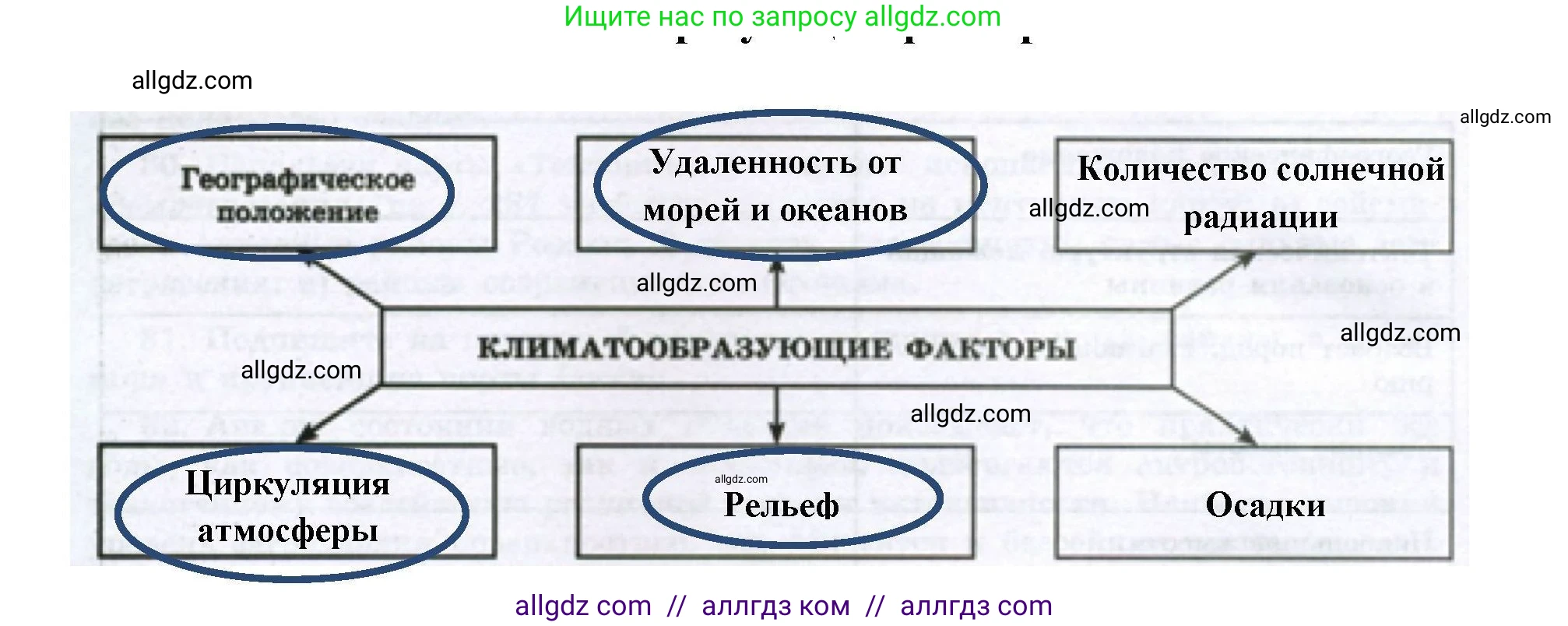 География, 8 класс Мой тренажёр, автор: Николина Вера Викторовна, издательство Просвещение, Москва, 2023, жёлтого цвета, страница 43, номер 37, Решение