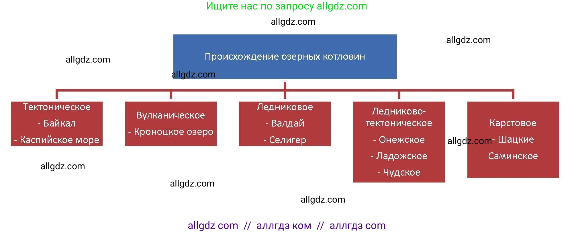 География, 8 класс Мой тренажёр, автор: Николина Вера Викторовна, издательство Просвещение, Москва, 2023, жёлтого цвета, страница 49, номер 50, Решение