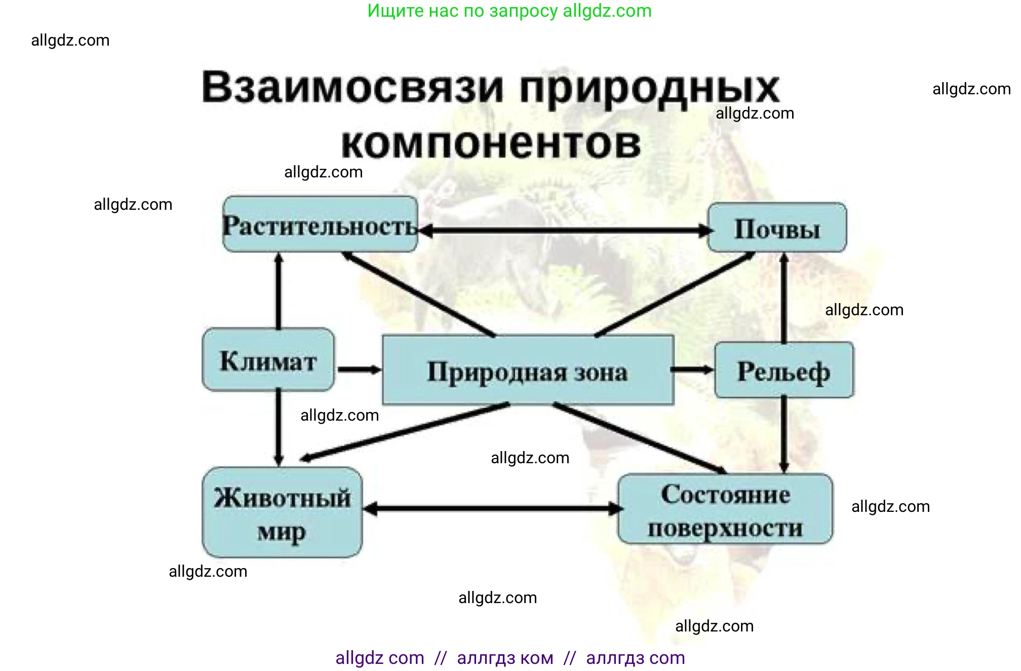 География, 8 класс Мой тренажёр, автор: Николина Вера Викторовна, издательство Просвещение, Москва, 2023, жёлтого цвета, страница 69, номер 31, Решение
