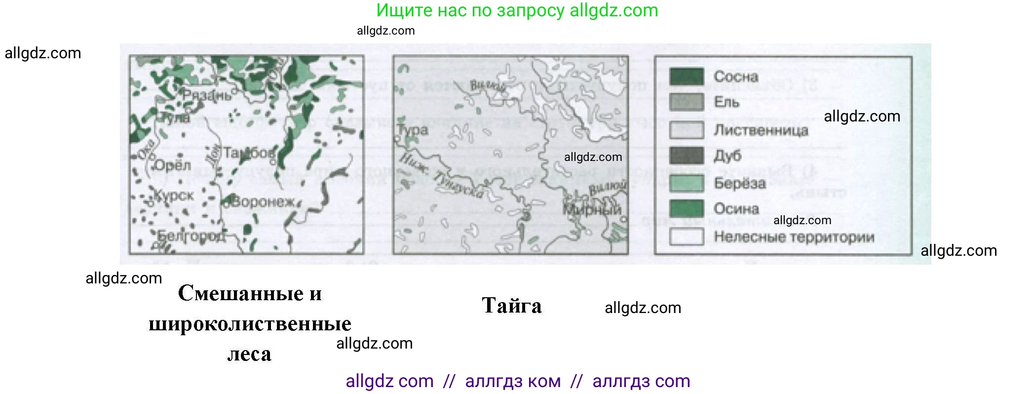 География, 8 класс Мой тренажёр, автор: Николина Вера Викторовна, издательство Просвещение, Москва, 2023, жёлтого цвета, страница 61, номер 5, Решение