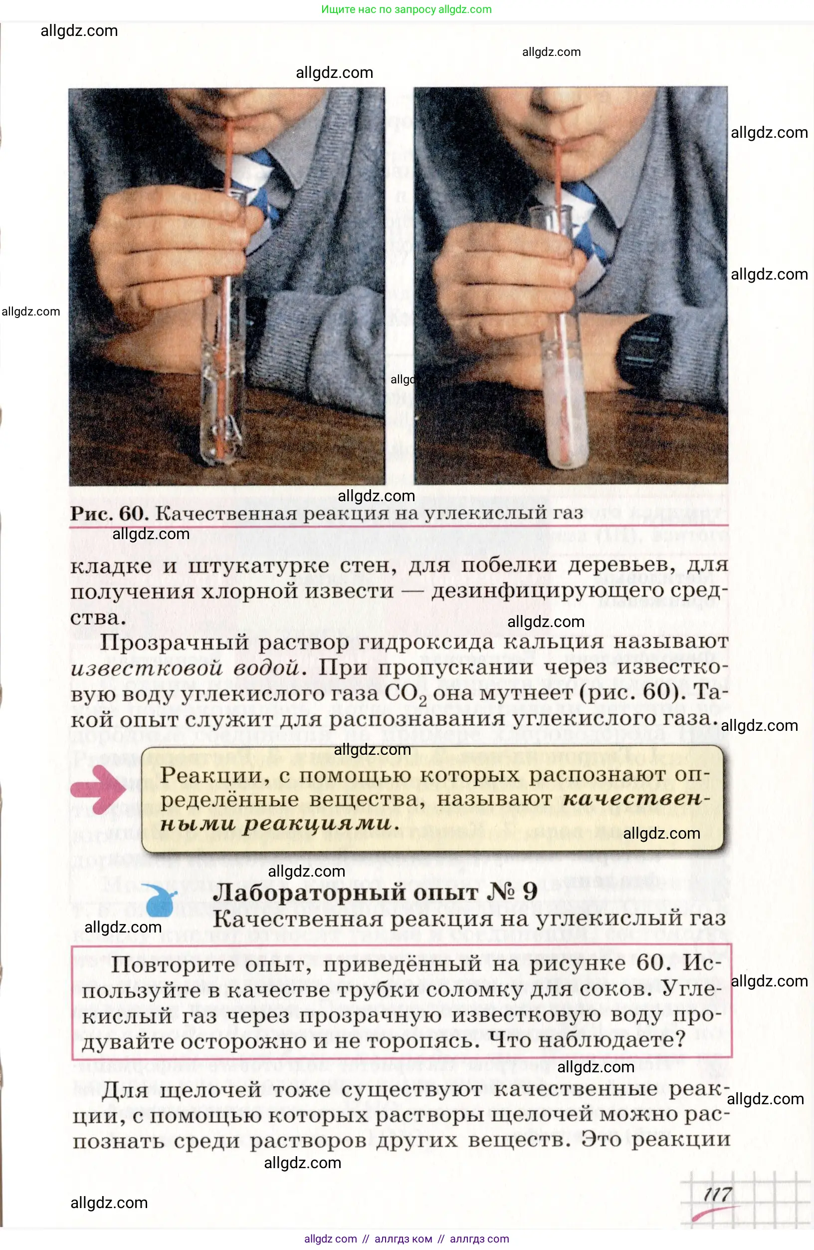 Химия, 8 класс Учебник, автор: Габриелян Олег Саргисович, издательство Просвещение, Москва, 2021, белого цвета, страница 117