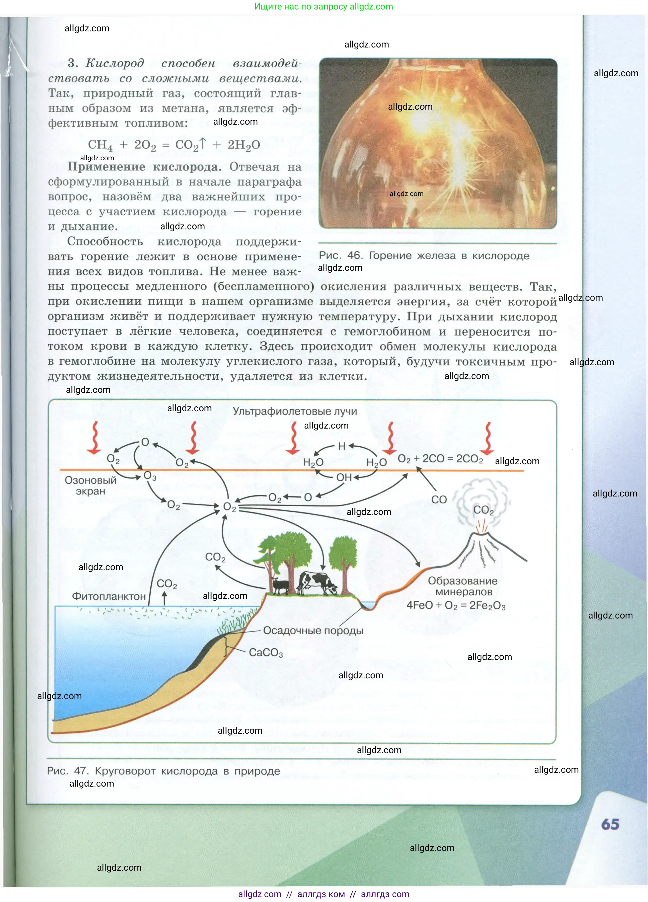 Химия, 8 класс Учебник, авторы: Габриелян Олег Саргисович, Остроумов Игорь Геннадьевич, Сладков Сергей Анатольевич, издательство Просвещение, Москва, 2023, белого цвета, страница 65