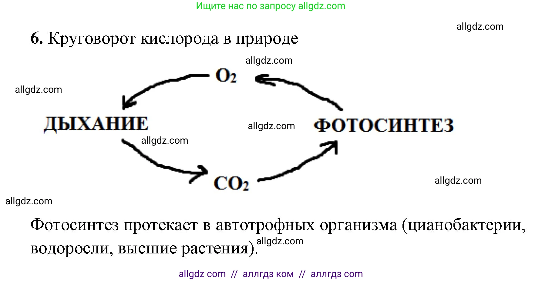 Химия, 8 класс рабочая тетрадь, авторы: Габриелян Олег Саргисович, Сладков Сергей Анатольевич, Остроумов Игорь Геннадьевич, издательство Просвещение, Москва, 2023, белого цвета, страница 54, номер 6, Решение