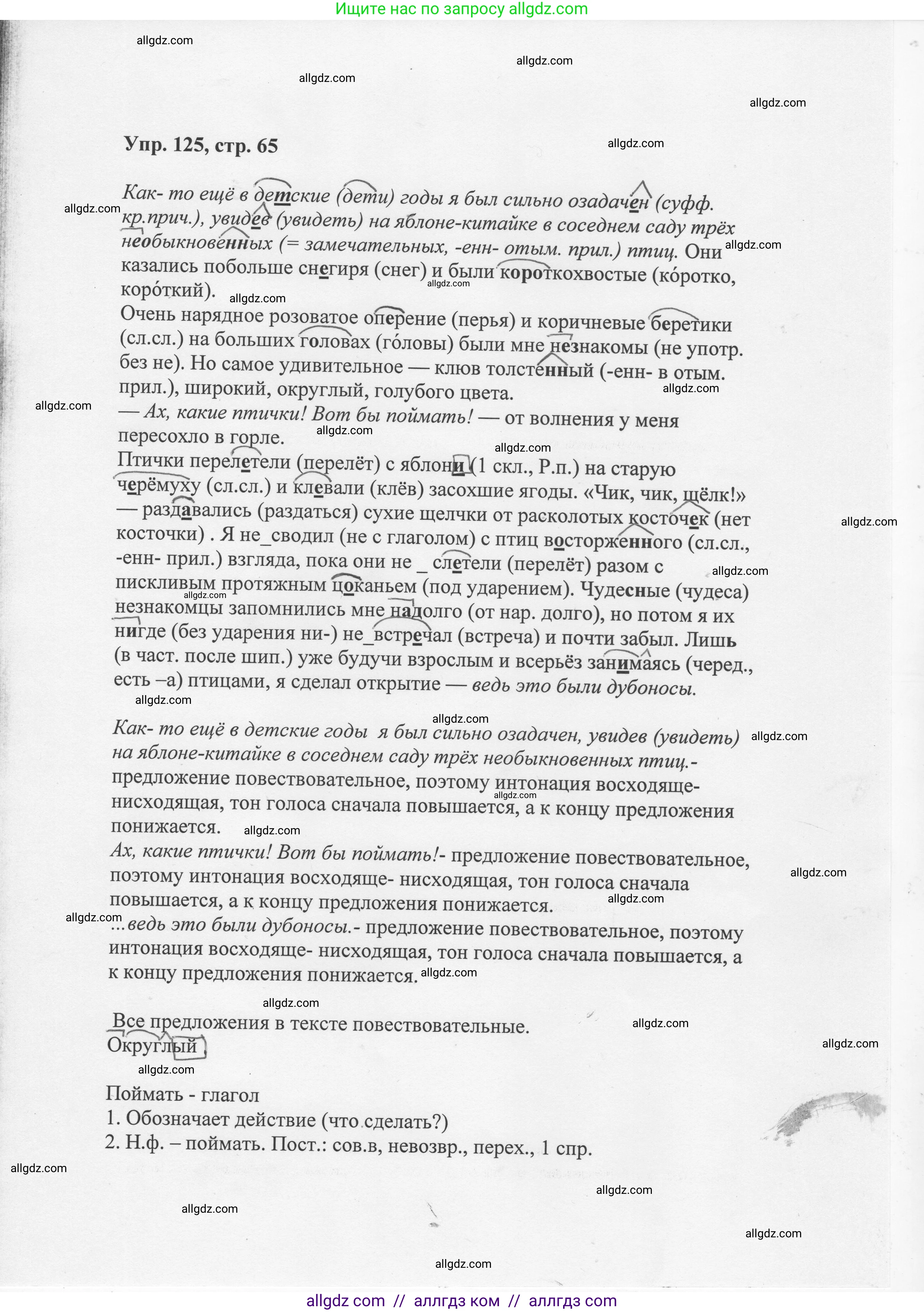 Русский язык, 8 класс Учебник, авторы: Бархударов Степан Григорьевич, Крючков Сергей Ефимович, Максимов Леонард Юрьевич, Чешко Лев Антонович, Николина Наталия Анатольевна, Мишина Клара Ивановна, Текучева Ирина Викторовна, Курцева Зоя Ивановна, Комиссарова Людмила Юрьевна, издательство Просвещение, Москва, 2023, зелёного цвета, страница 65, номер 125, Решение 1 (2023-2027)