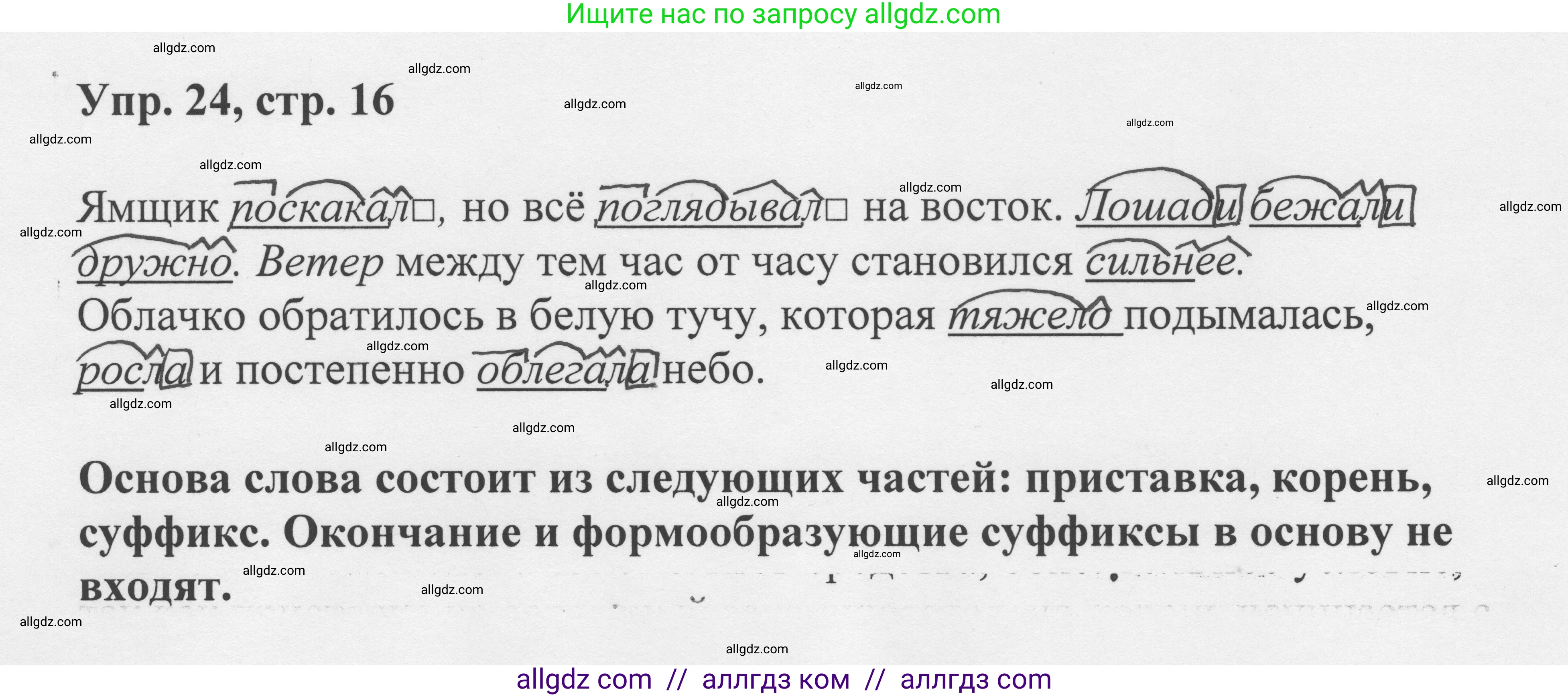Русский язык, 8 класс Учебник, авторы: Бархударов Степан Григорьевич, Крючков Сергей Ефимович, Максимов Леонард Юрьевич, Чешко Лев Антонович, Николина Наталия Анатольевна, Мишина Клара Ивановна, Текучева Ирина Викторовна, Курцева Зоя Ивановна, Комиссарова Людмила Юрьевна, издательство Просвещение, Москва, 2023, зелёного цвета, страница 13, номер 16, Решение 1 (2023-2027)