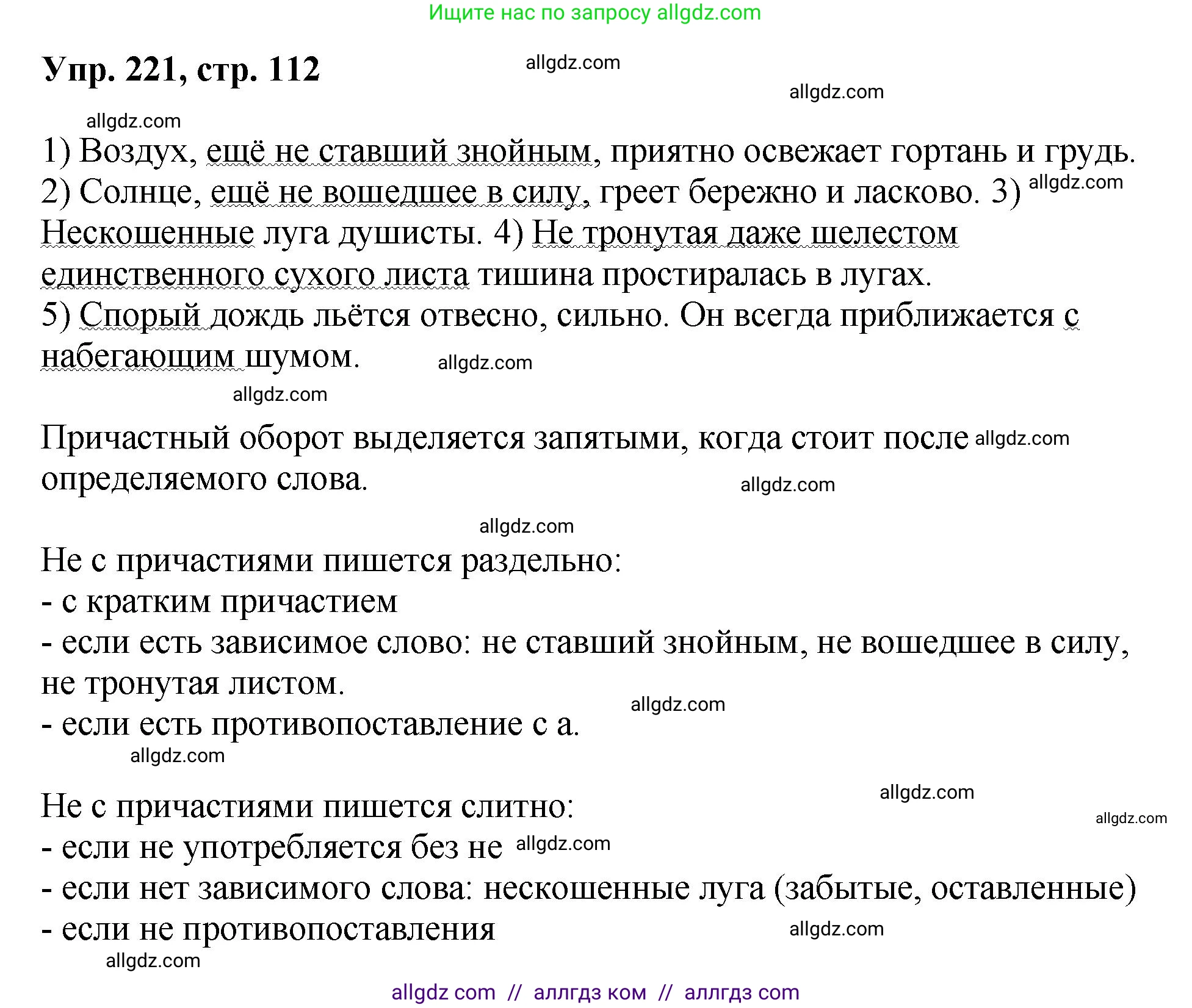 Русский язык, 8 класс Учебник, авторы: Бархударов Степан Григорьевич, Крючков Сергей Ефимович, Максимов Леонард Юрьевич, Чешко Лев Антонович, Николина Наталия Анатольевна, Мишина Клара Ивановна, Текучева Ирина Викторовна, Курцева Зоя Ивановна, Комиссарова Людмила Юрьевна, издательство Просвещение, Москва, 2023, зелёного цвета, страница 112, номер 221, Решение 1 (2023-2027)