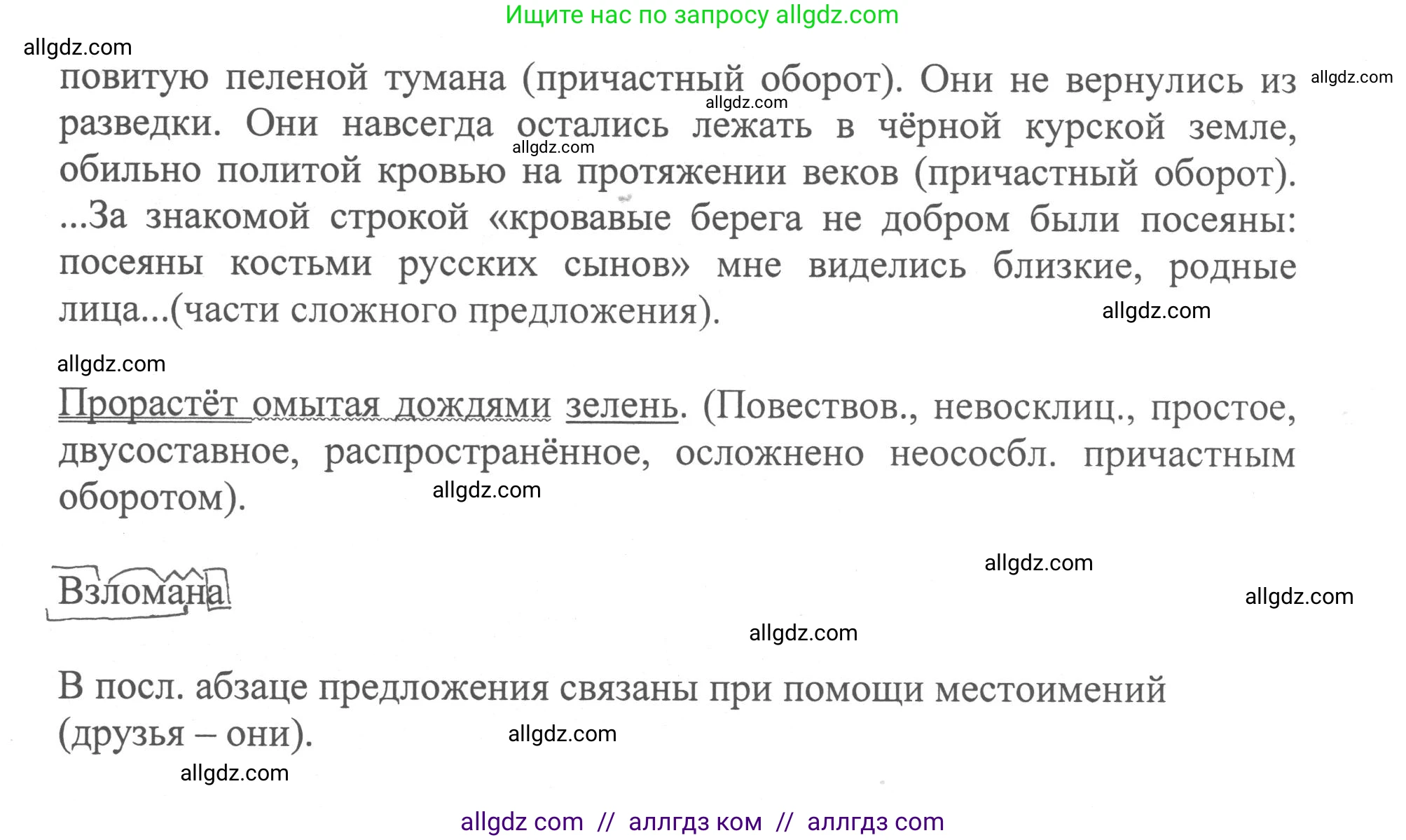 Русский язык, 8 класс Учебник, авторы: Бархударов Степан Григорьевич, Крючков Сергей Ефимович, Максимов Леонард Юрьевич, Чешко Лев Антонович, Николина Наталия Анатольевна, Мишина Клара Ивановна, Текучева Ирина Викторовна, Курцева Зоя Ивановна, Комиссарова Людмила Юрьевна, издательство Просвещение, Москва, 2023, зелёного цвета, страница 206, номер 406, Решение 1 (2023-2027) (продолжение 3)