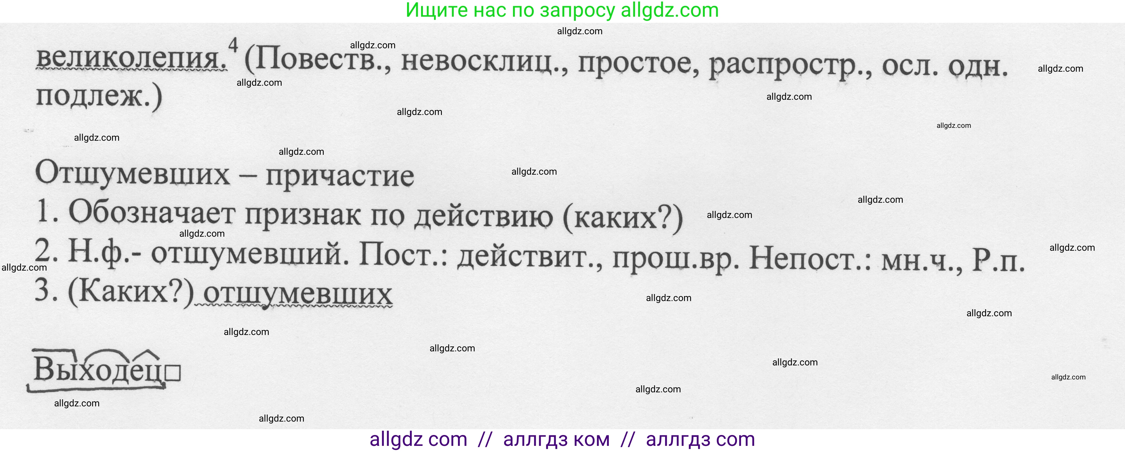 Русский язык, 8 класс Учебник, авторы: Бархударов Степан Григорьевич, Крючков Сергей Ефимович, Максимов Леонард Юрьевич, Чешко Лев Антонович, Николина Наталия Анатольевна, Мишина Клара Ивановна, Текучева Ирина Викторовна, Курцева Зоя Ивановна, Комиссарова Людмила Юрьевна, издательство Просвещение, Москва, 2023, зелёного цвета, страница 215, номер 425, Решение 1 (2023-2027) (продолжение 2)
