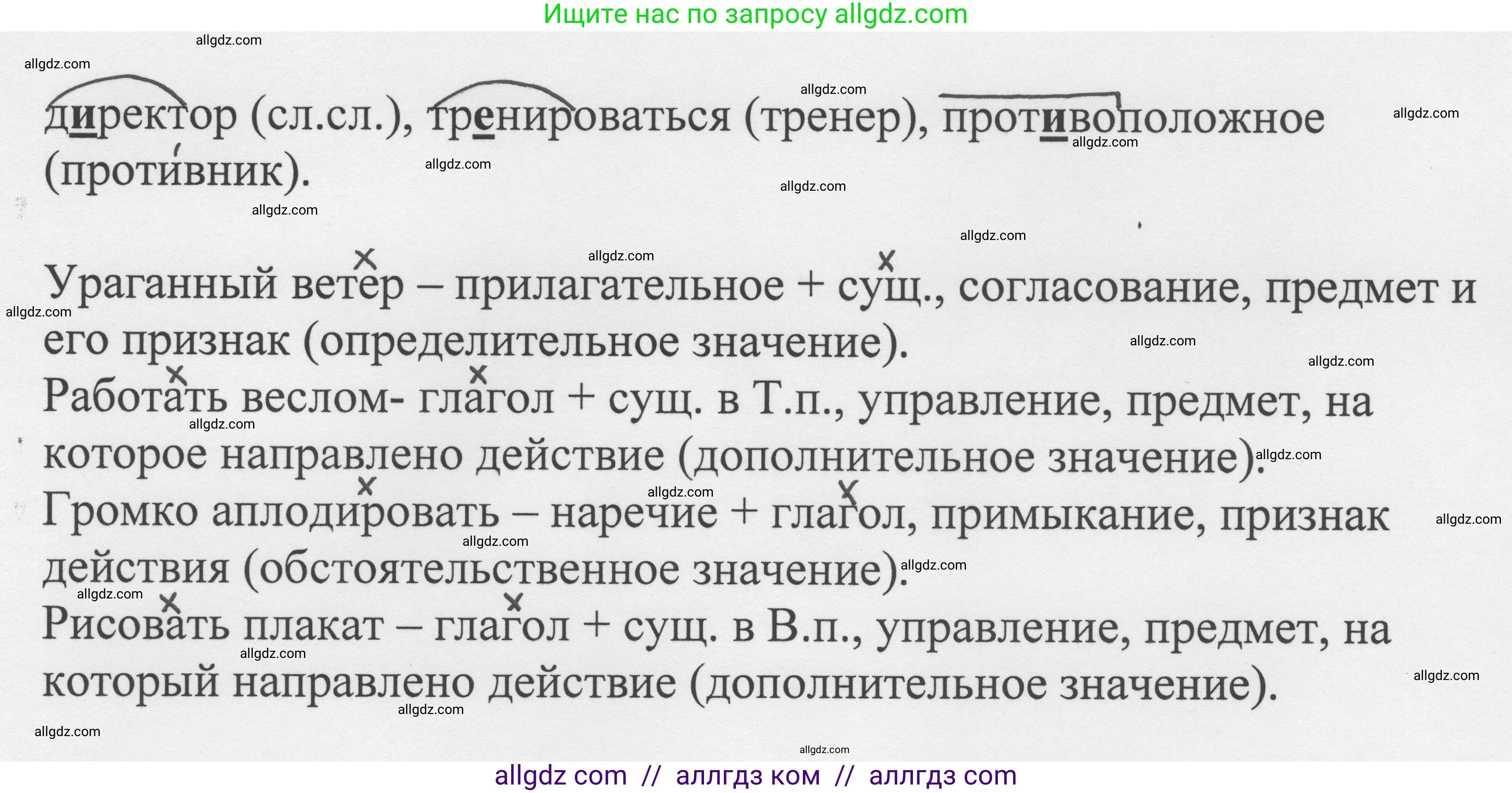 Русский язык, 8 класс Учебник, авторы: Бархударов Степан Григорьевич, Крючков Сергей Ефимович, Максимов Леонард Юрьевич, Чешко Лев Антонович, Николина Наталия Анатольевна, Мишина Клара Ивановна, Текучева Ирина Викторовна, Курцева Зоя Ивановна, Комиссарова Людмила Юрьевна, издательство Просвещение, Москва, 2023, зелёного цвета, страница 256, номер 507, Решение 1 (2023-2027) (продолжение 2)