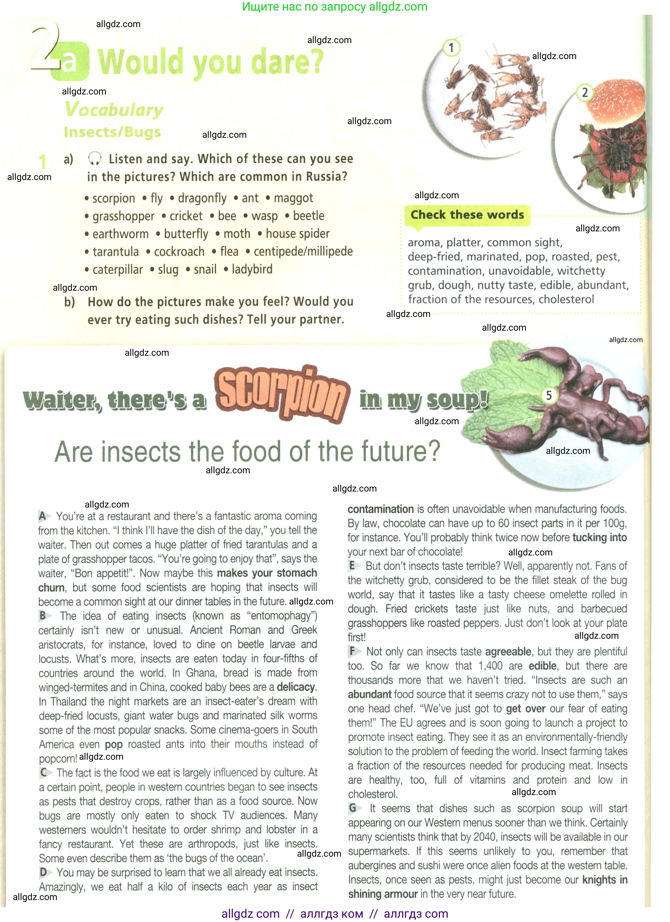Английский язык (english), 9 класс Учебник (Student's book), авторы: Баранова Ксения Михайловна (Baranova Ksenia), Дули Дженни (Dooley Jenny), Копылова Виктория Викторовна (Kopylova Victoria), Мильруд Радислав Петрович (Millrood Radislav), Эванс Вирджиния (Evans Virginia), издательство Просвещение, Москва, 2023, белого цвета, страница 28, номер 1, Условие 2023-2027