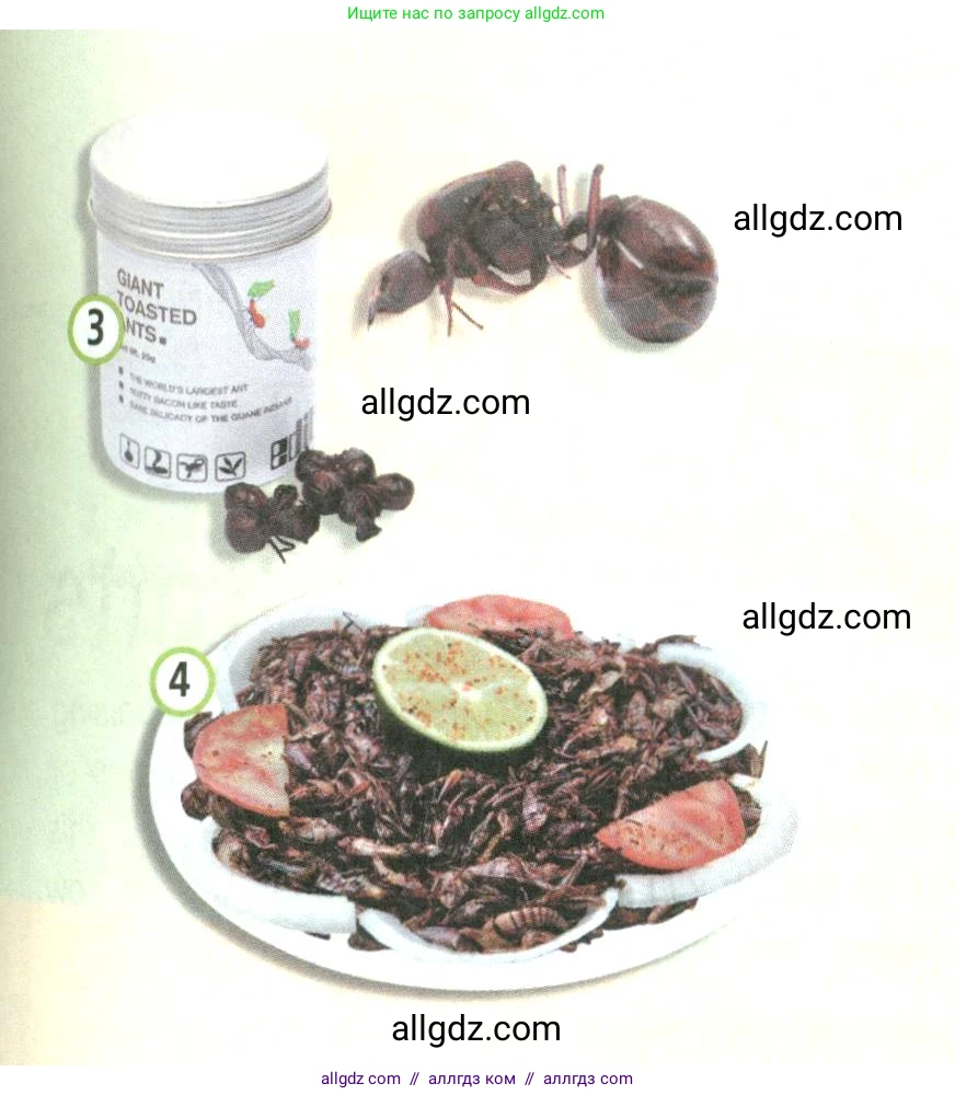 Английский язык (english), 9 класс Учебник (Student's book), авторы: Баранова Ксения Михайловна (Baranova Ksenia), Дули Дженни (Dooley Jenny), Копылова Виктория Викторовна (Kopylova Victoria), Мильруд Радислав Петрович (Millrood Radislav), Эванс Вирджиния (Evans Virginia), издательство Просвещение, Москва, 2023, белого цвета, страница 28, номер 1, Условие 2023-2027 (продолжение 2)