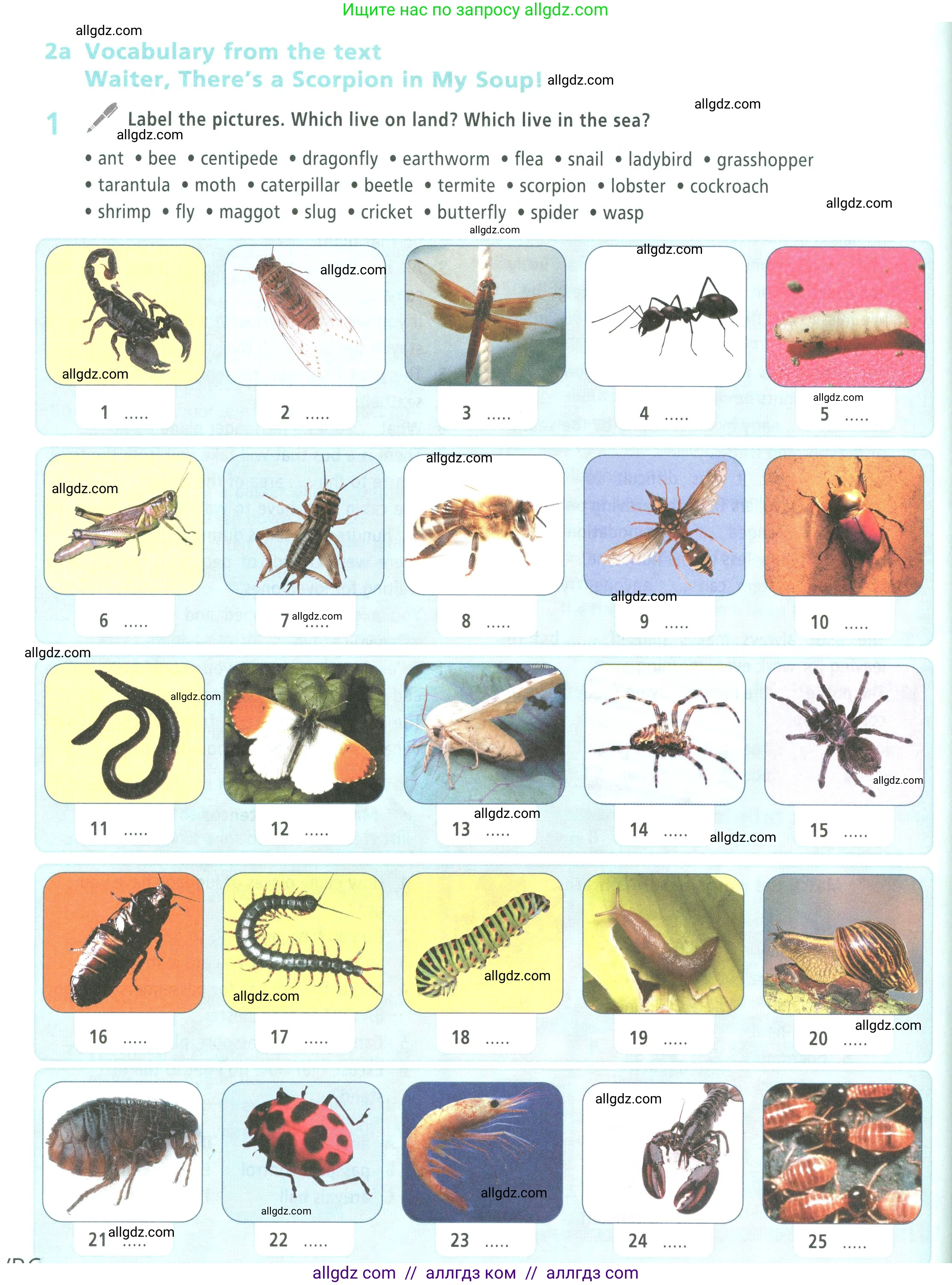 Английский язык (english), 9 класс Учебник (Student's book), авторы: Баранова Ксения Михайловна (Baranova Ksenia), Дули Дженни (Dooley Jenny), Копылова Виктория Викторовна (Kopylova Victoria), Мильруд Радислав Петрович (Millrood Radislav), Эванс Вирджиния (Evans Virginia), издательство Просвещение, Москва, 2023, белого цвета, страница 138, номер 1, Условие 2023-2027