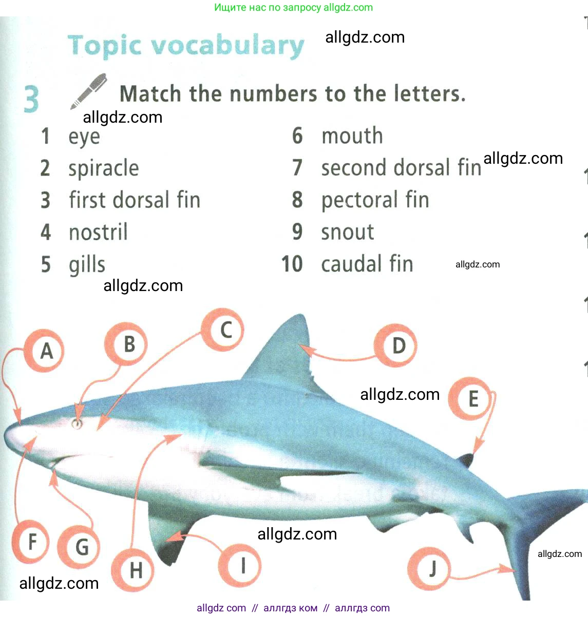 Английский язык (english), 9 класс Учебник (Student's book), авторы: Баранова Ксения Михайловна (Baranova Ksenia), Дули Дженни (Dooley Jenny), Копылова Виктория Викторовна (Kopylova Victoria), Мильруд Радислав Петрович (Millrood Radislav), Эванс Вирджиния (Evans Virginia), издательство Просвещение, Москва, 2023, белого цвета, страница 143, номер 3, Условие 2023-2027