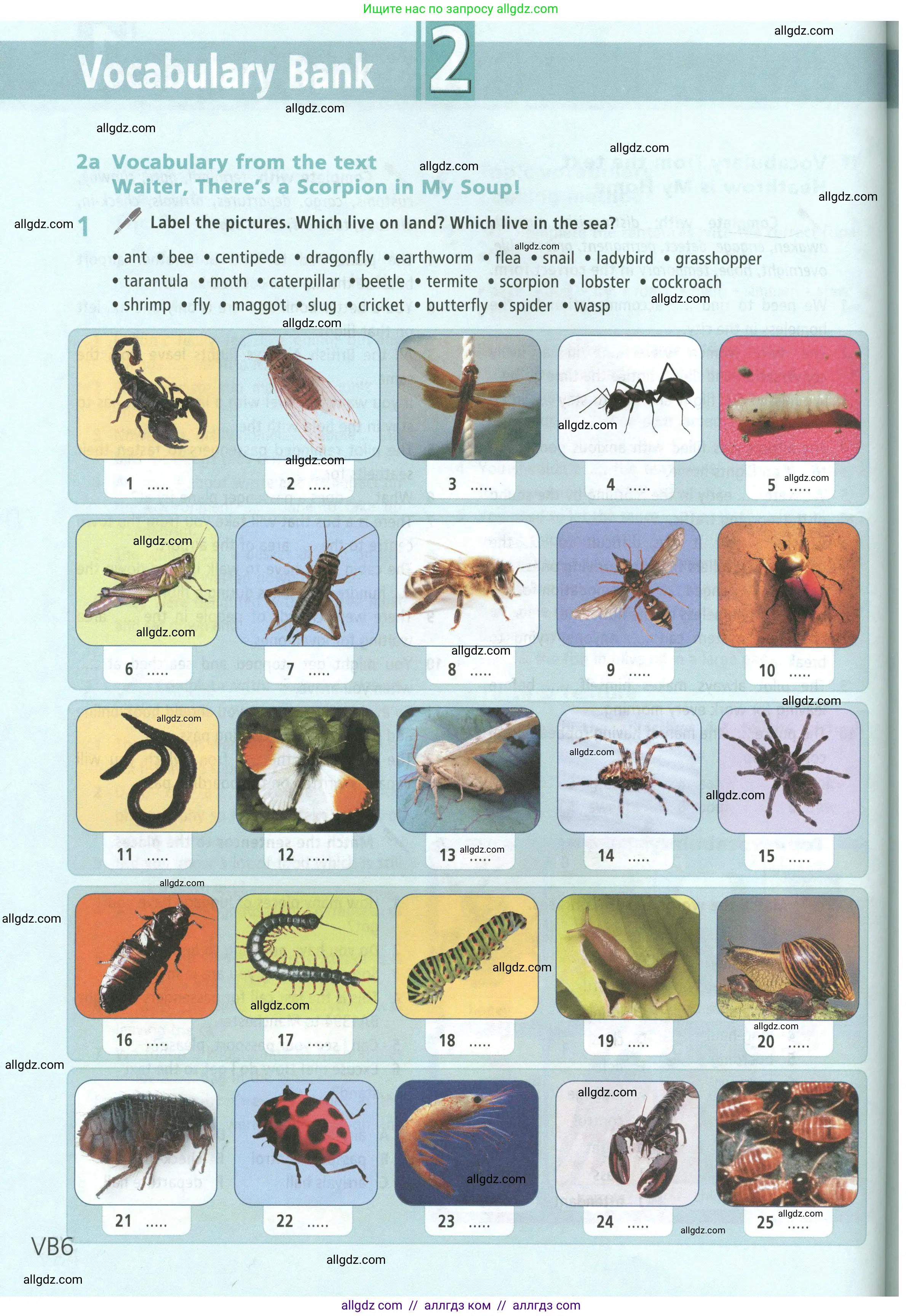 Английский язык (english), 9 класс Учебник (Student's book), авторы: Баранова Ксения Михайловна (Baranova Ksenia), Дули Дженни (Dooley Jenny), Копылова Виктория Викторовна (Kopylova Victoria), Мильруд Радислав Петрович (Millrood Radislav), Эванс Вирджиния (Evans Virginia), издательство Просвещение, Москва, 2023, белого цвета, страница 138